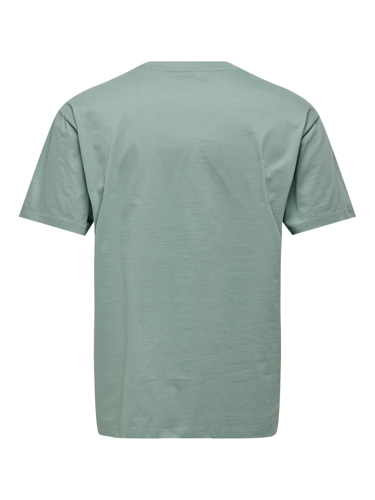 Only & Sons ONSFRED RLX SS TEE NOOS Chinois Green 00102010-EKA26011400001299