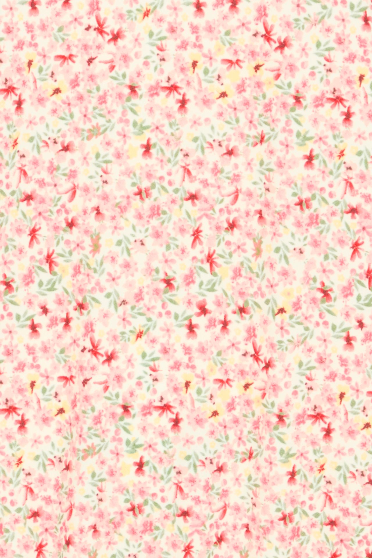 Fransa frSeen tee 2 Cayenne art 2900152168086