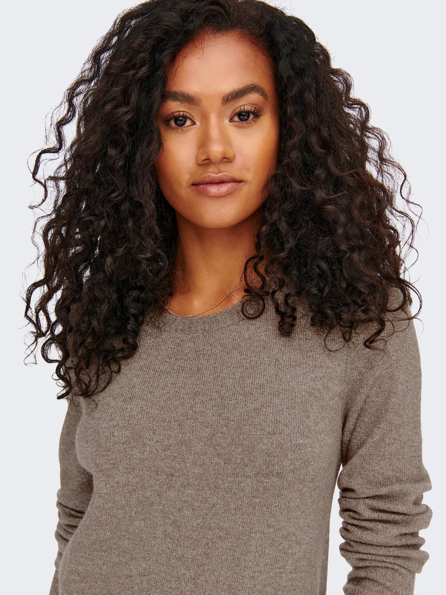 Only ONLRICA LIFE L/S O-NECK DRESS KNT N Brownie/MELANGE 2900141740033