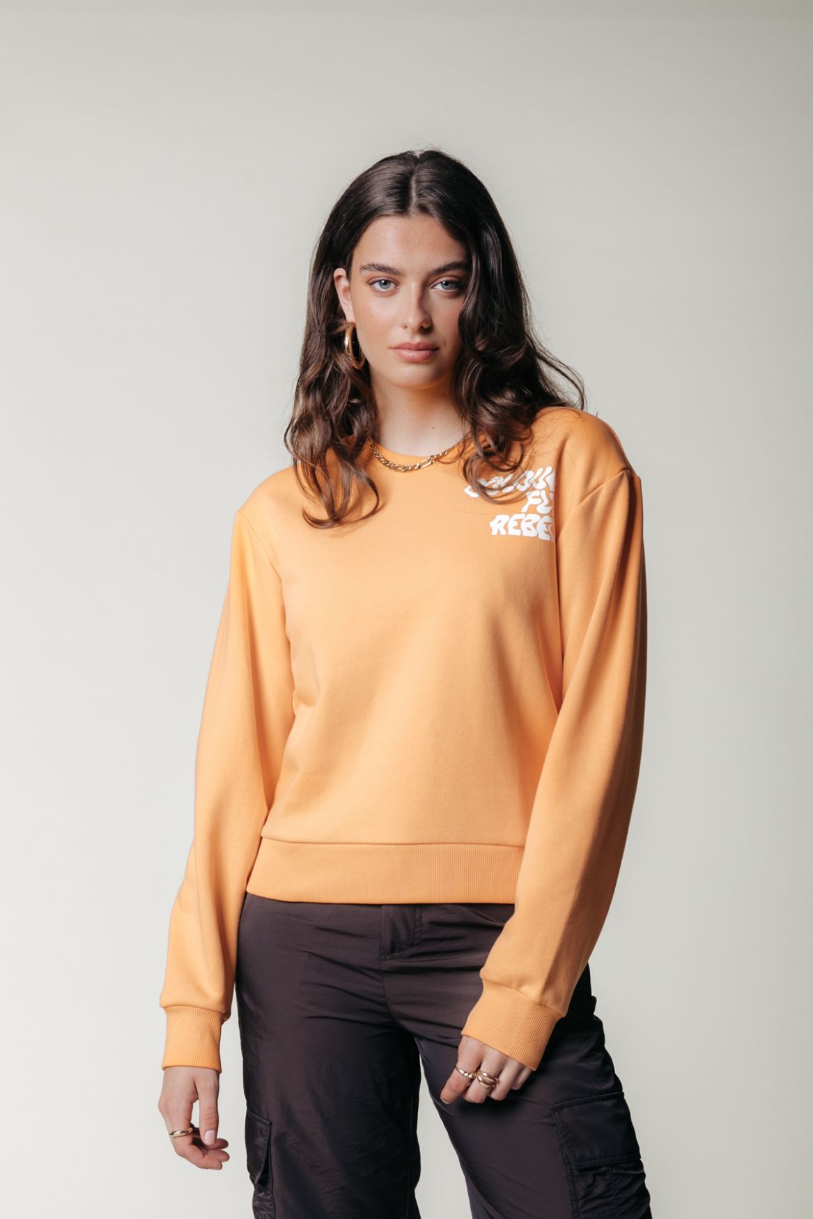 Colourful Rebel Logo Wave Relaxed Sweat 725 tangerine 2900145586026
