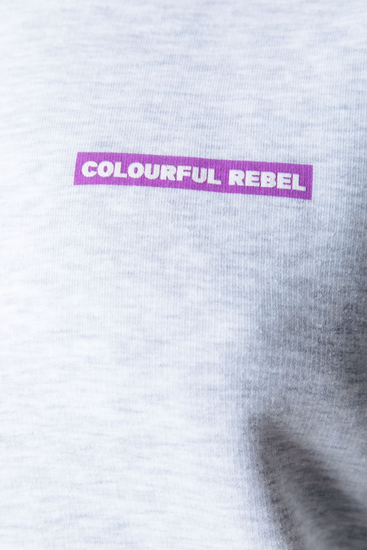 Colourful Rebel Sleeve Logo Clean Hoodie 213 light grey melange 2900150611034
