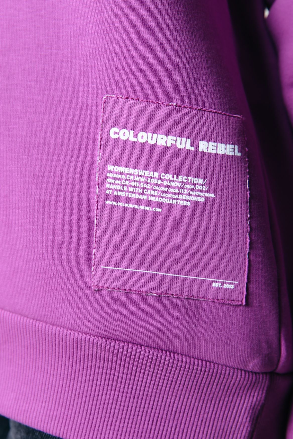 Colourful Rebel Label Clean Hoodie 646 violet pink 2900150612031