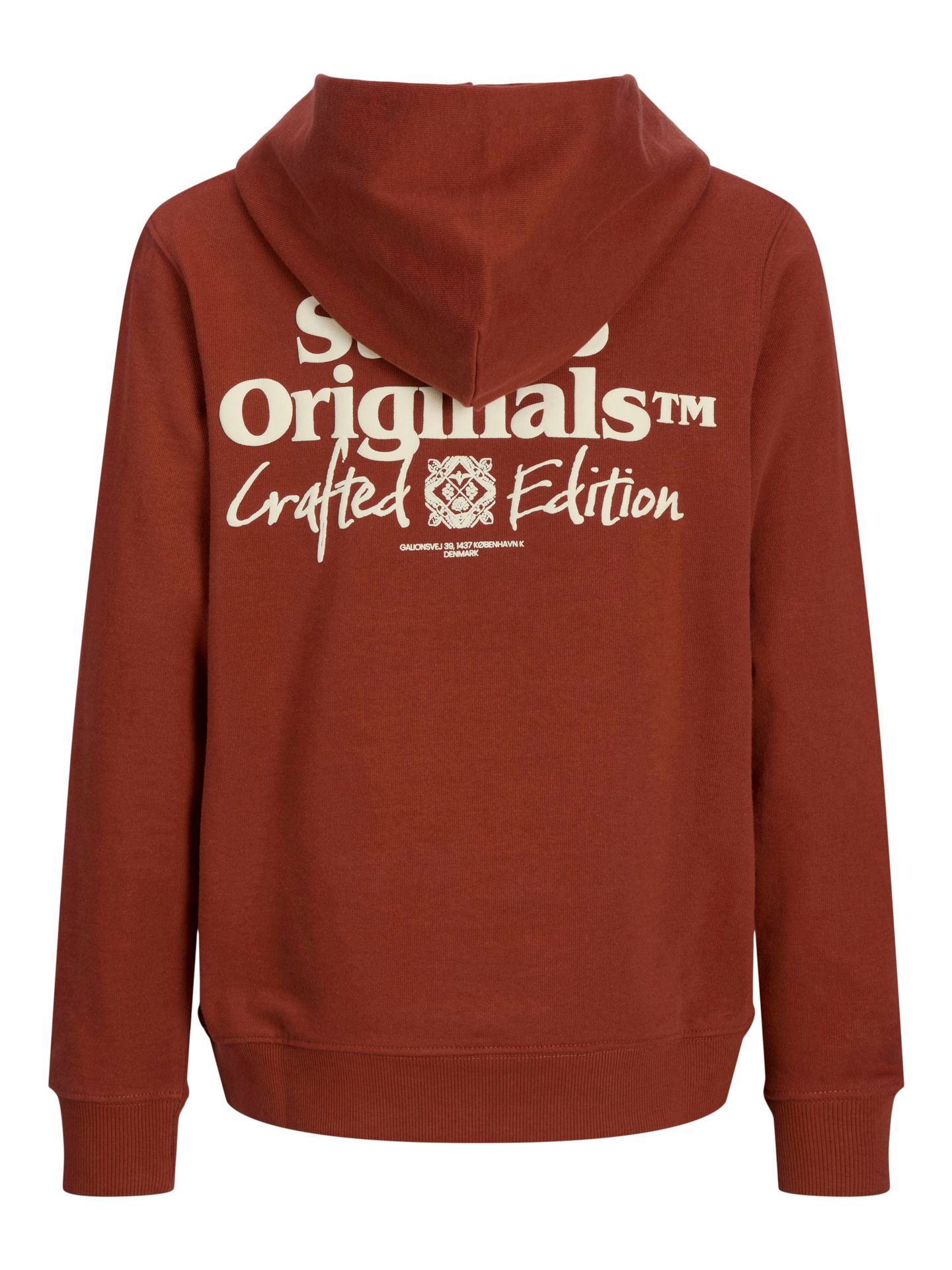 Jack & Jones JORPAROS TYPE SWEAT HOOD BACK JNR Arabian Spice 2900150667031