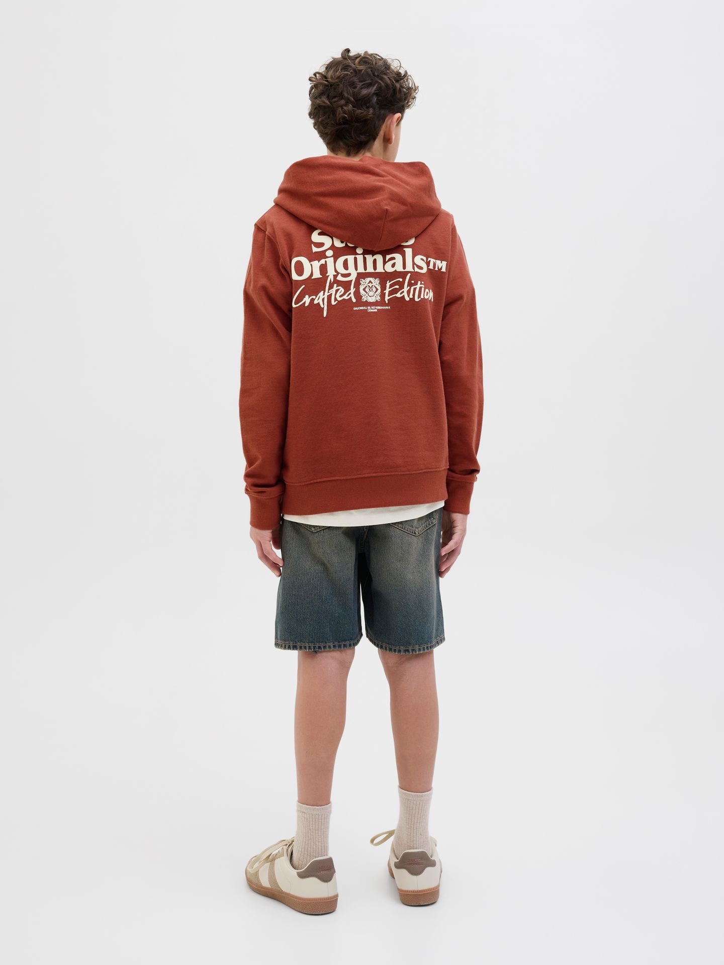 Jack & Jones JORPAROS TYPE SWEAT HOOD BACK JNR Arabian Spice 2900150667017