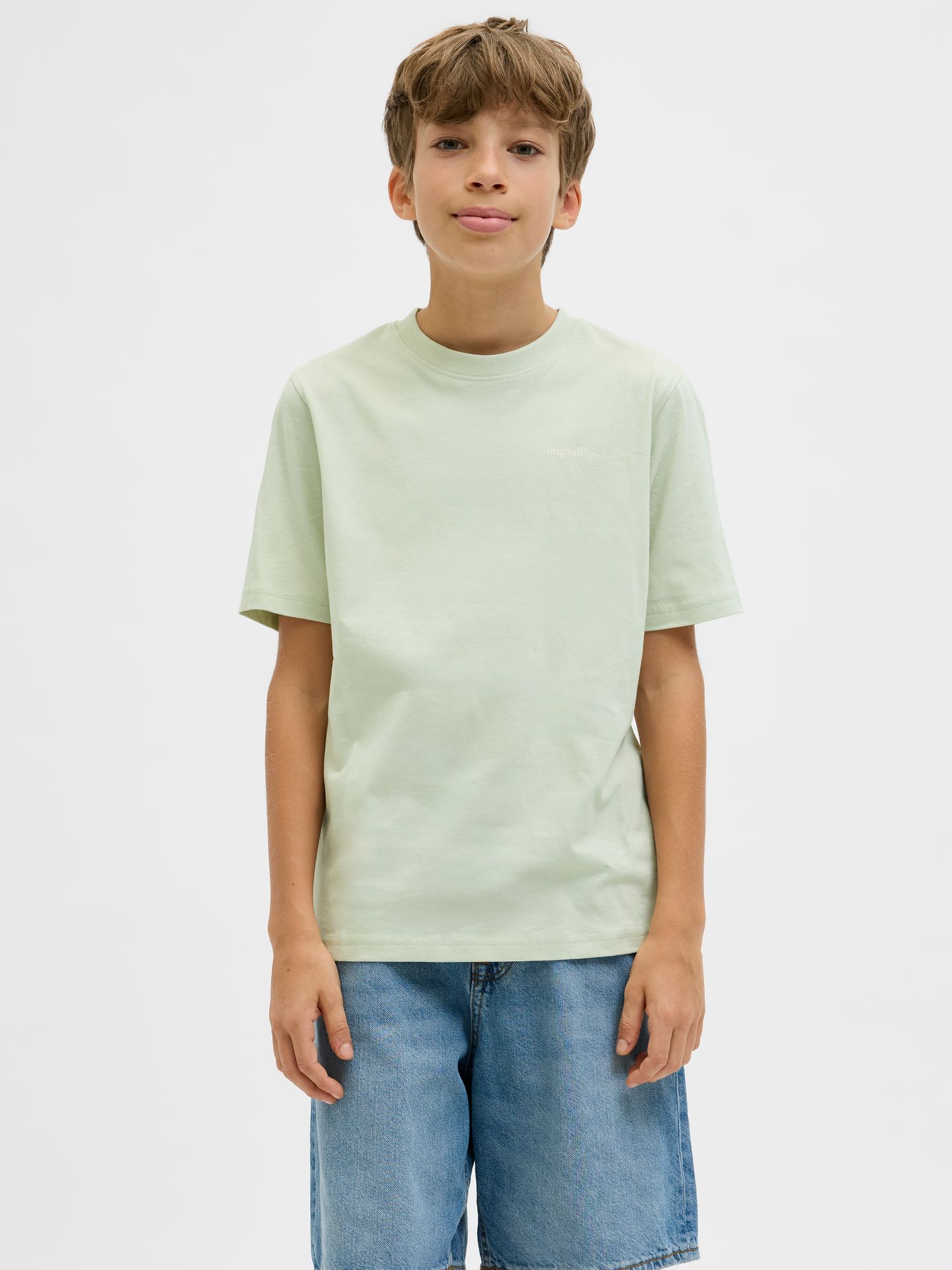 Jack & Jones JORVARENNA PAINTED BACK TEE SS CRE Celadon Tint 00110245-EKA26011400002489