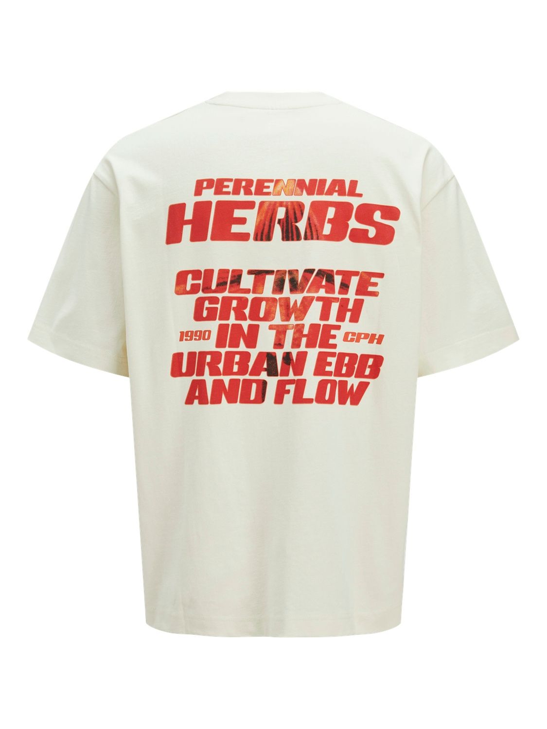 Jack & Jones JCOINTERLUDE FLORAL BACK TEE SS CRE Sweet Corn 2900150680047