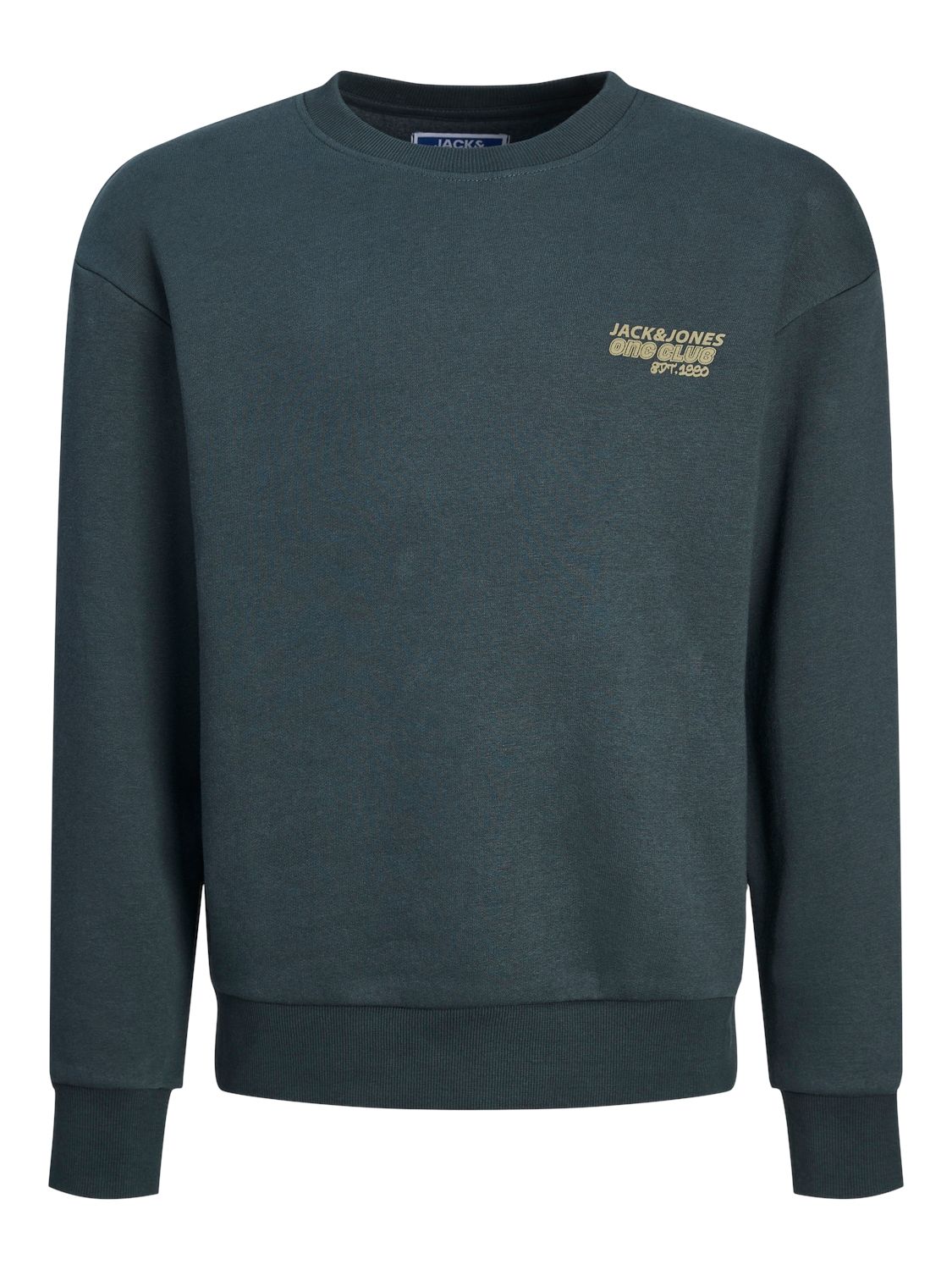 Jack & Jones JORCOLLECT EDT LOOSE SWEAT CREW JNR Magical Forest 00110582-EKA26011400001160