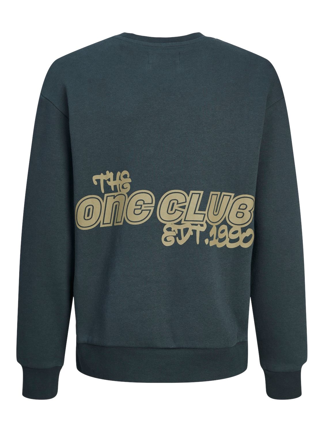 Jack & Jones JORCOLLECT EDT LOOSE SWEAT CREW JNR Magical Forest 2900151230012