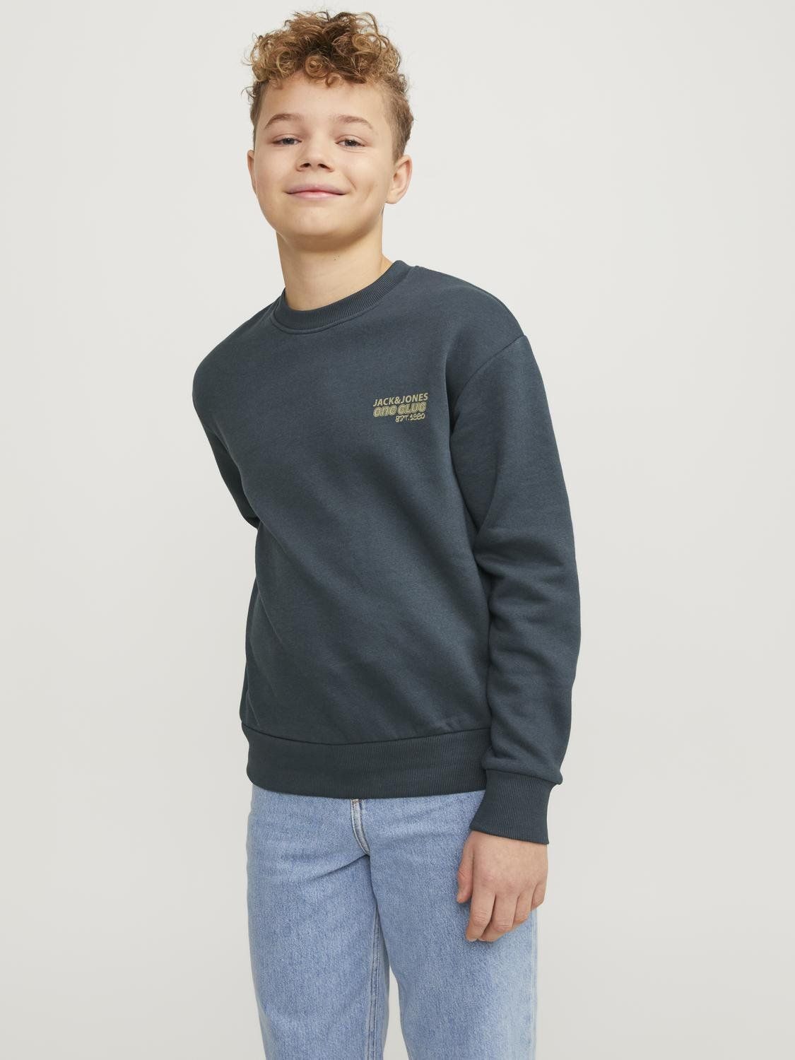 Jack & Jones JORCOLLECT EDT LOOSE SWEAT CREW JNR Magical Forest 00110582-EKA26011400001160