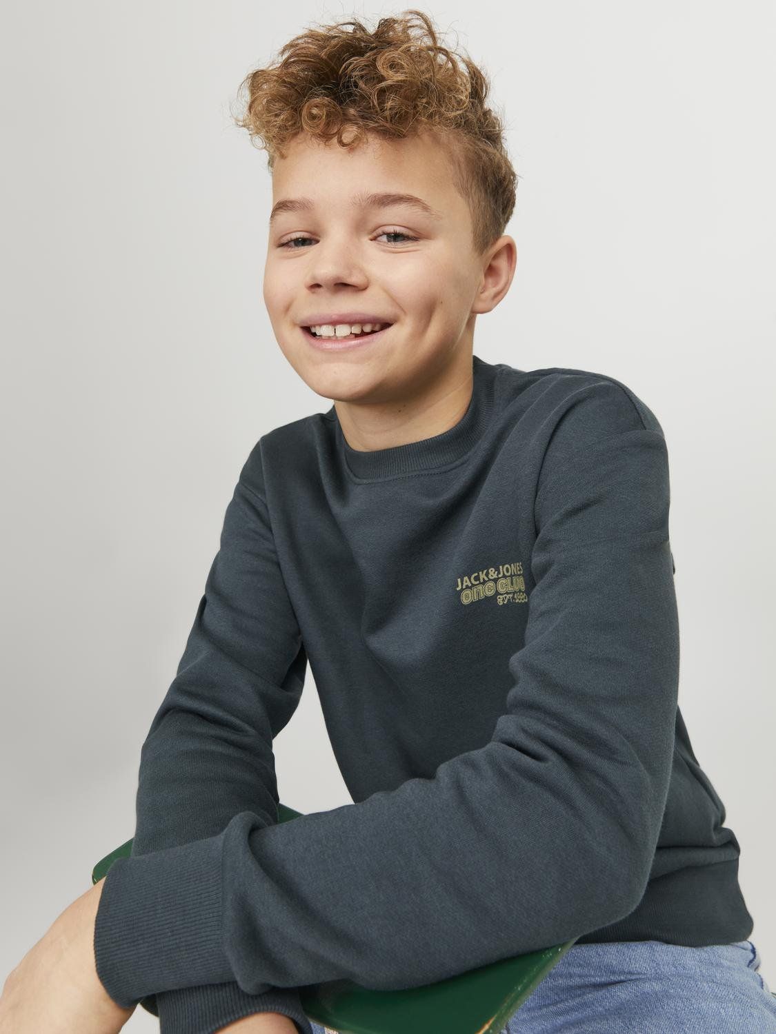 Jack & Jones JORCOLLECT EDT LOOSE SWEAT CREW JNR Magical Forest 2900151230012