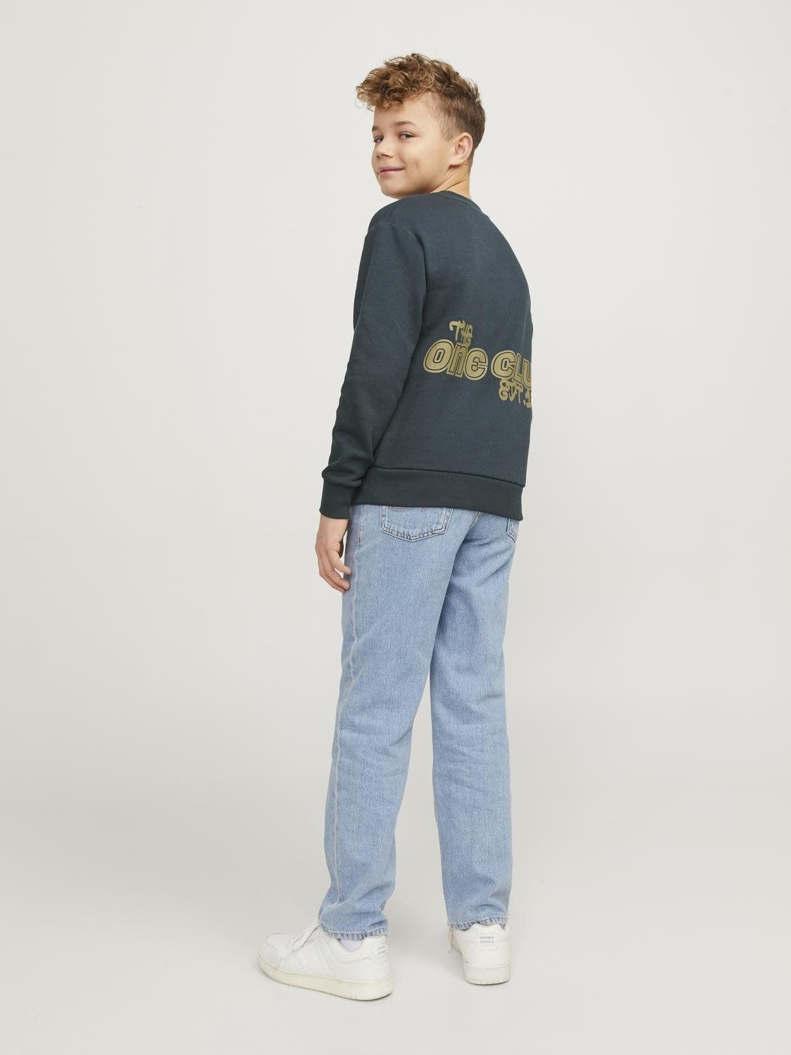 Jack & Jones JORCOLLECT EDT LOOSE SWEAT CREW JNR Magical Forest 2900151230012