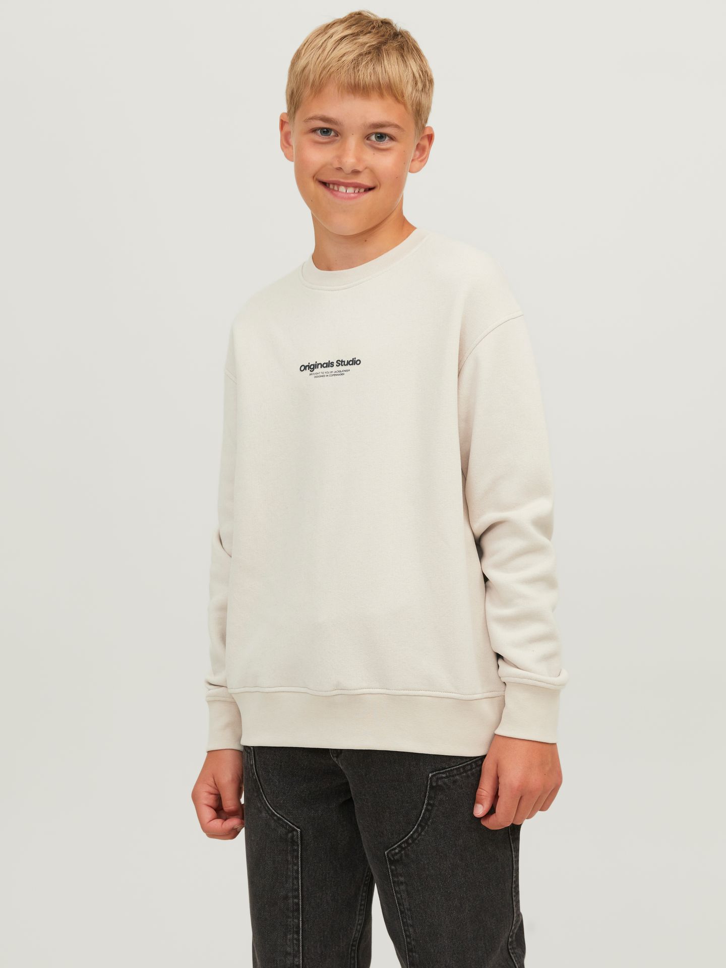Jack & Jones JORVESTERBRO SWEAT CREW NECK NOOS J Moonbeam/LOOSE 00110812-EKA26011400001897