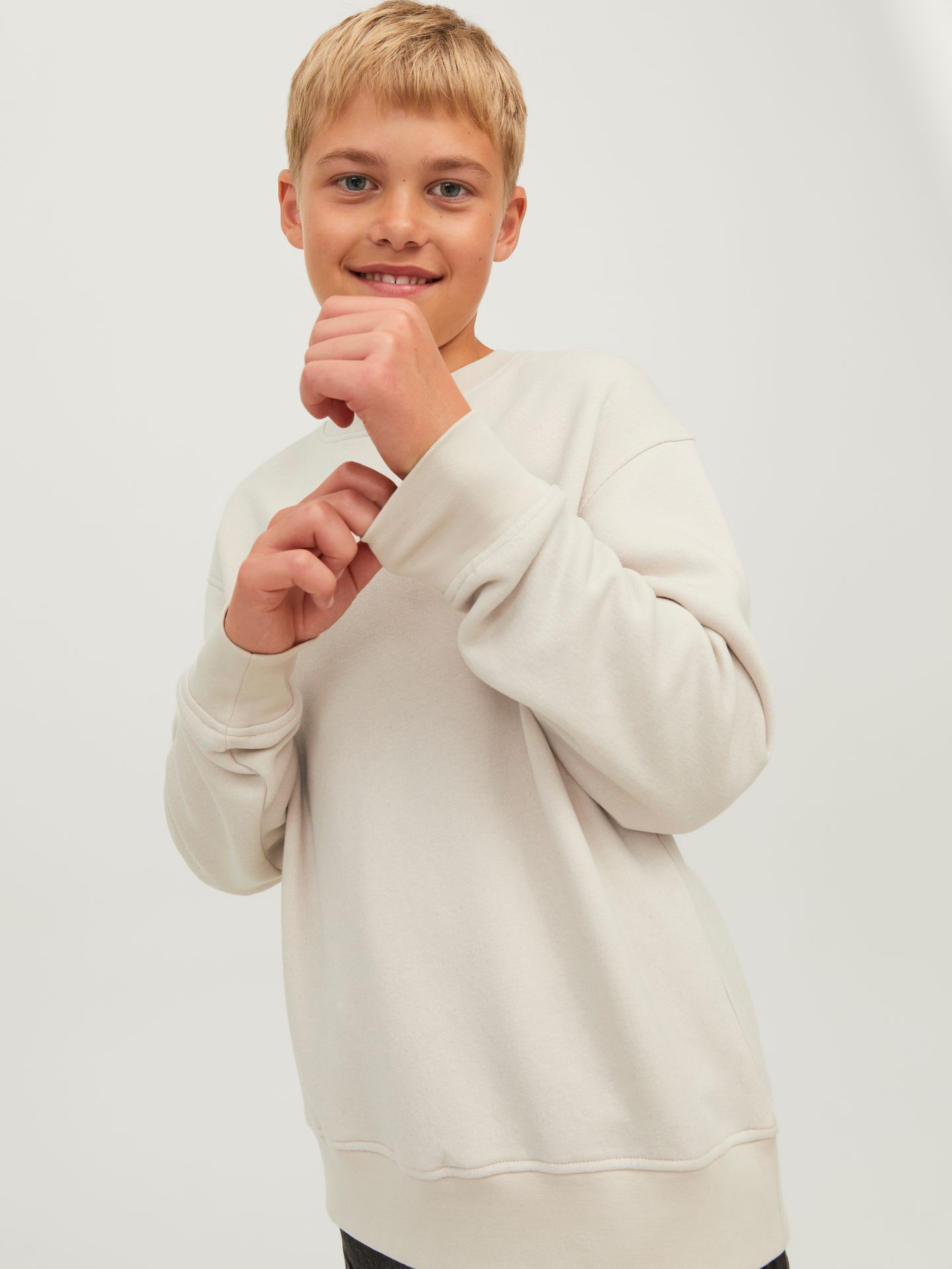 Jack & Jones JORVESTERBRO SWEAT CREW NECK NOOS J Moonbeam/LOOSE 2900151637026