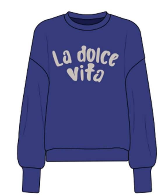 Only ONLZENJA L/S O-NECK PRINT BOX CS SW Clematis Blue/La dolce vita 00110875-EKA26011400000481