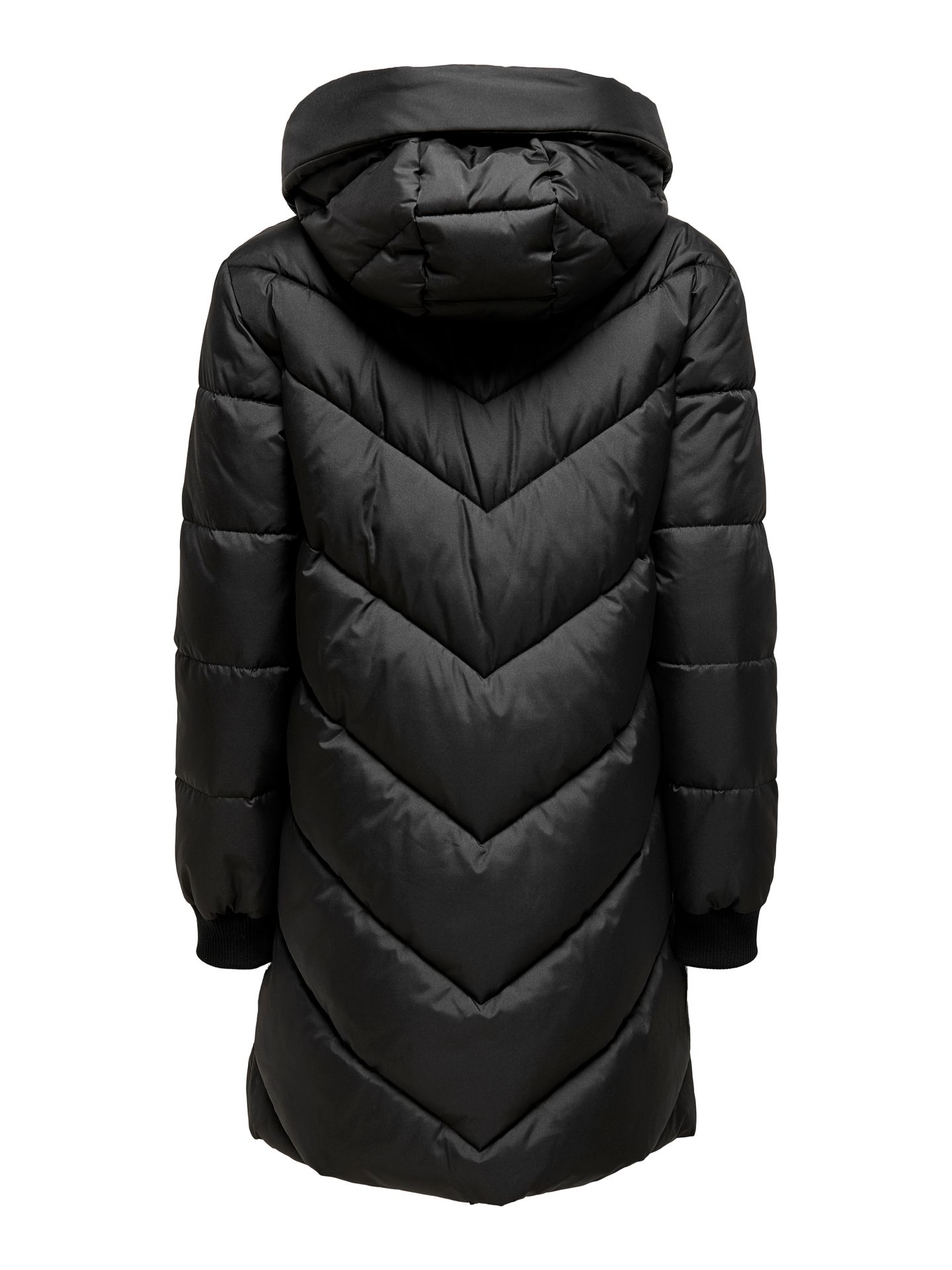 JDY JDYSKYLAR PADDED HOOD JACKET OTW NO Black/With Clara Leo 2900151749064