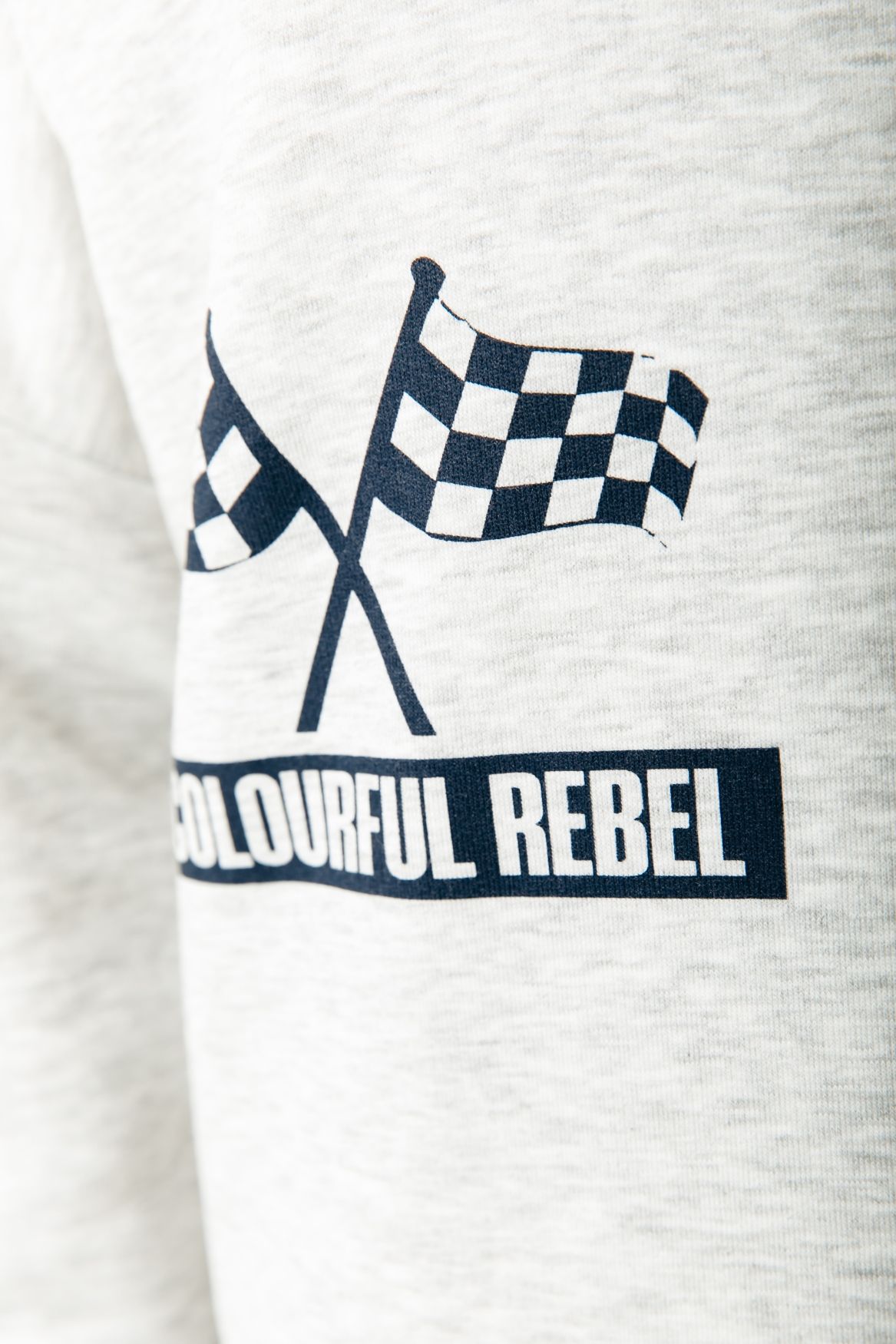 Colourful Rebel Racer Logo Dropped Shoulder Sweat 214 light grey 2900153571045