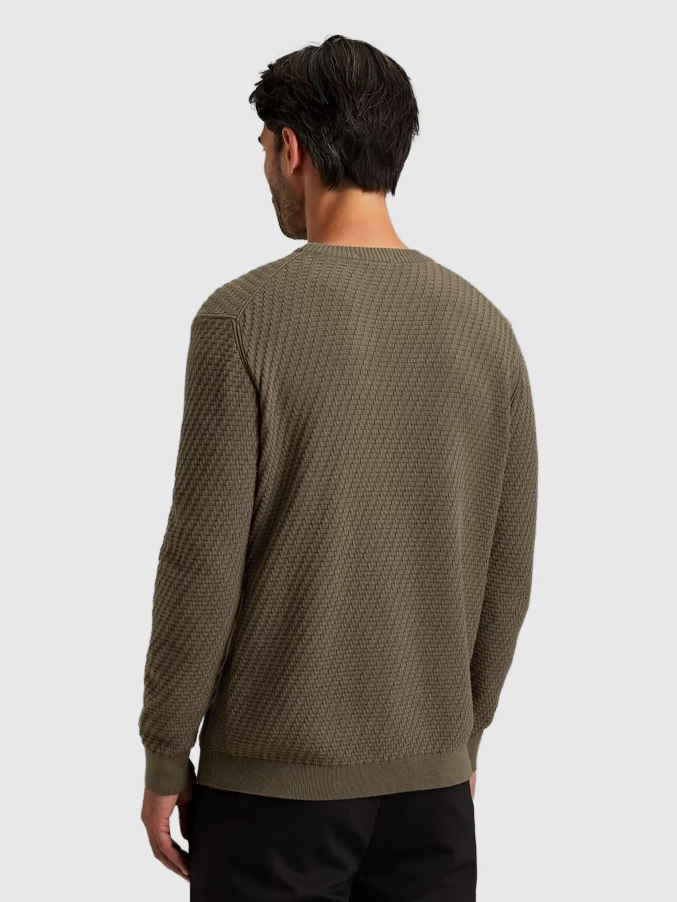 Cast Iron Crewneck regular fit cotton stretc Crocodile 2900154229037