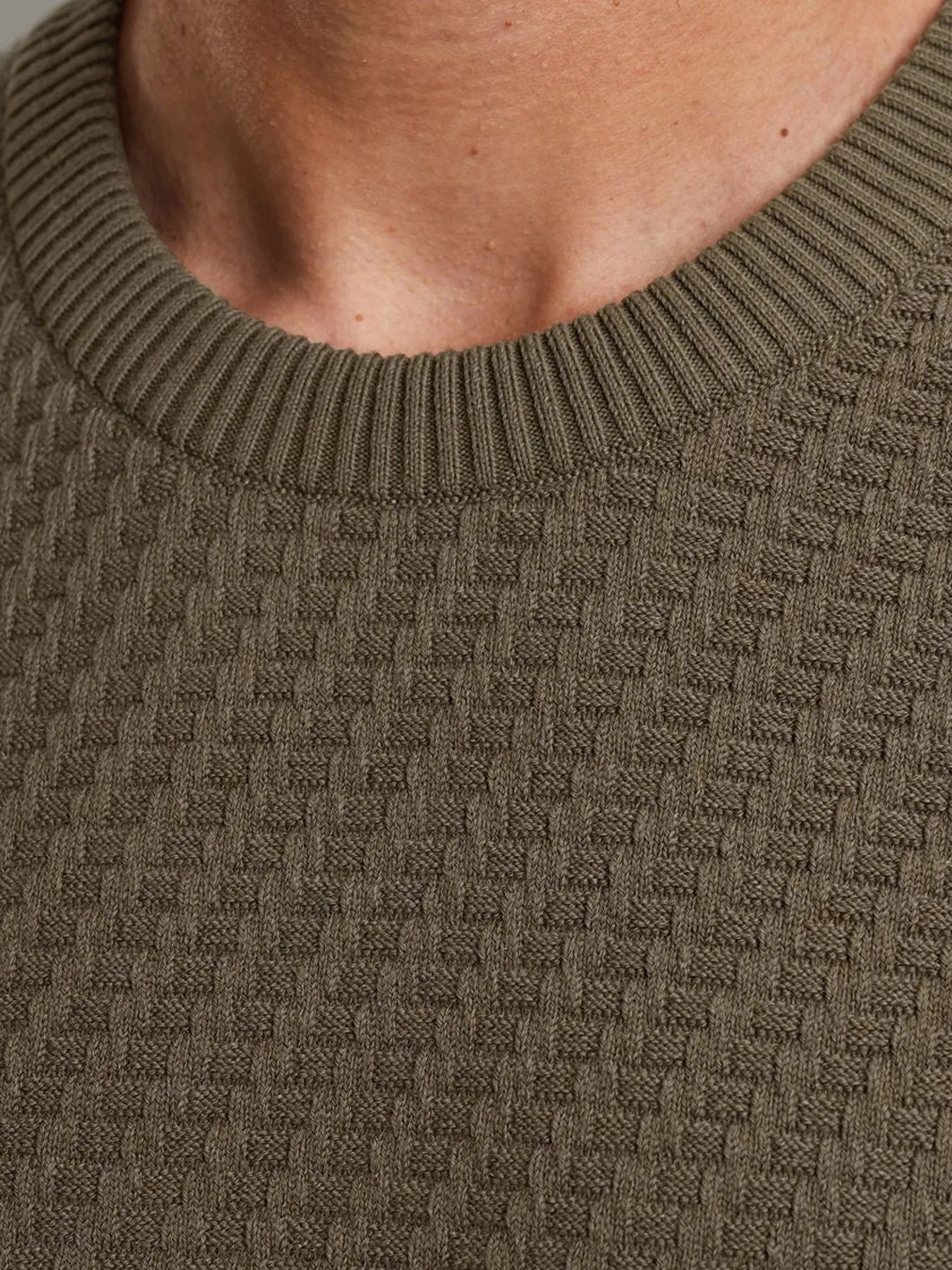 Cast Iron Crewneck regular fit cotton stretc Crocodile 2900154229037