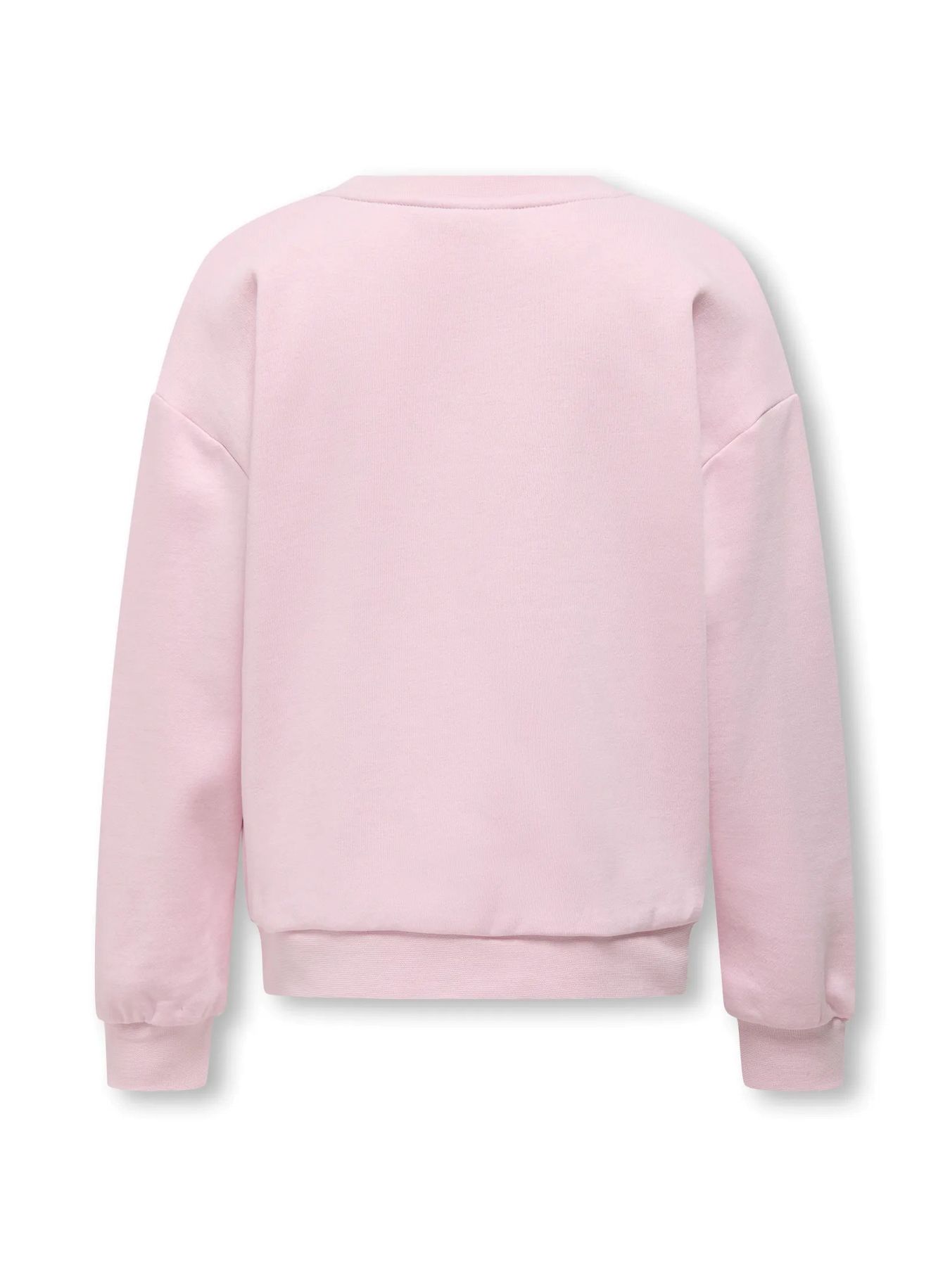 Only KOGRITA LIFE L/S PRINTED CREW UB SW Roseate Spoonbill/Le marais 2900155149020