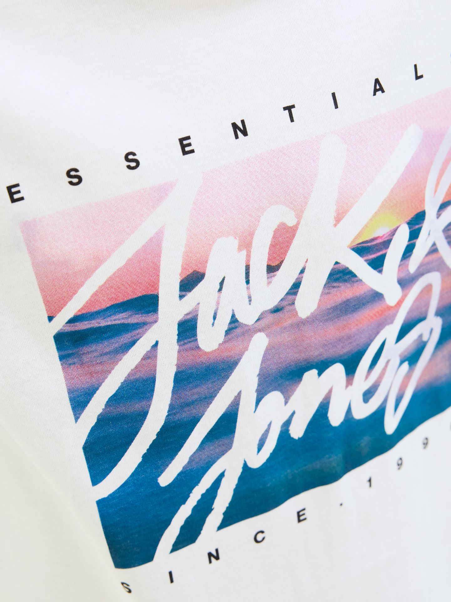 Jack & Jones JJCOLTON PHOTOPRINT TEE SS CREW NE White 2900155243032