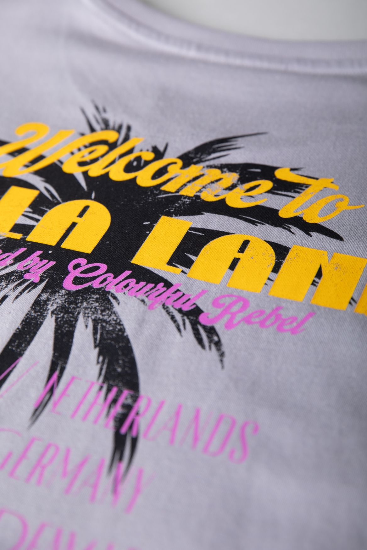 Colourful Rebel Lala Land Boxy Tee 214 light grey 2900155789073