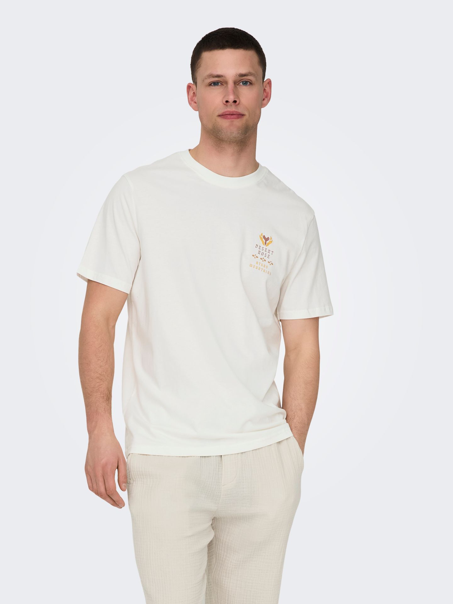 Only & Sons ONSMANUEL LIFE REG SS DESERT TEE CS Cloud Dancer/DRIFT 00113001-EKA26011400002105