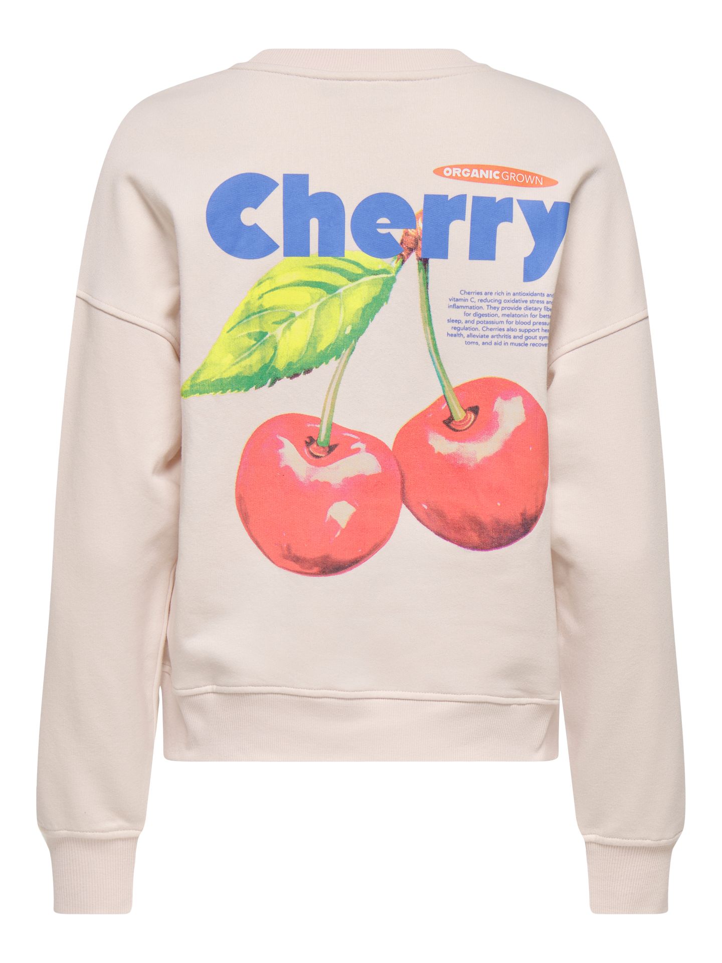 Only ONLPHILEA L/S FRUIT O-NECK UB SWT Mauve Chalk/Coconut 2900156208023