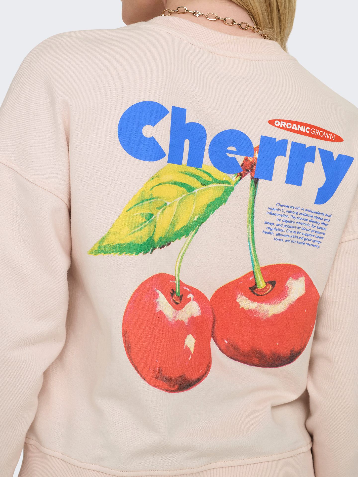 Only ONLPHILEA L/S FRUIT O-NECK UB SWT Mauve Chalk/Coconut 2900156208023