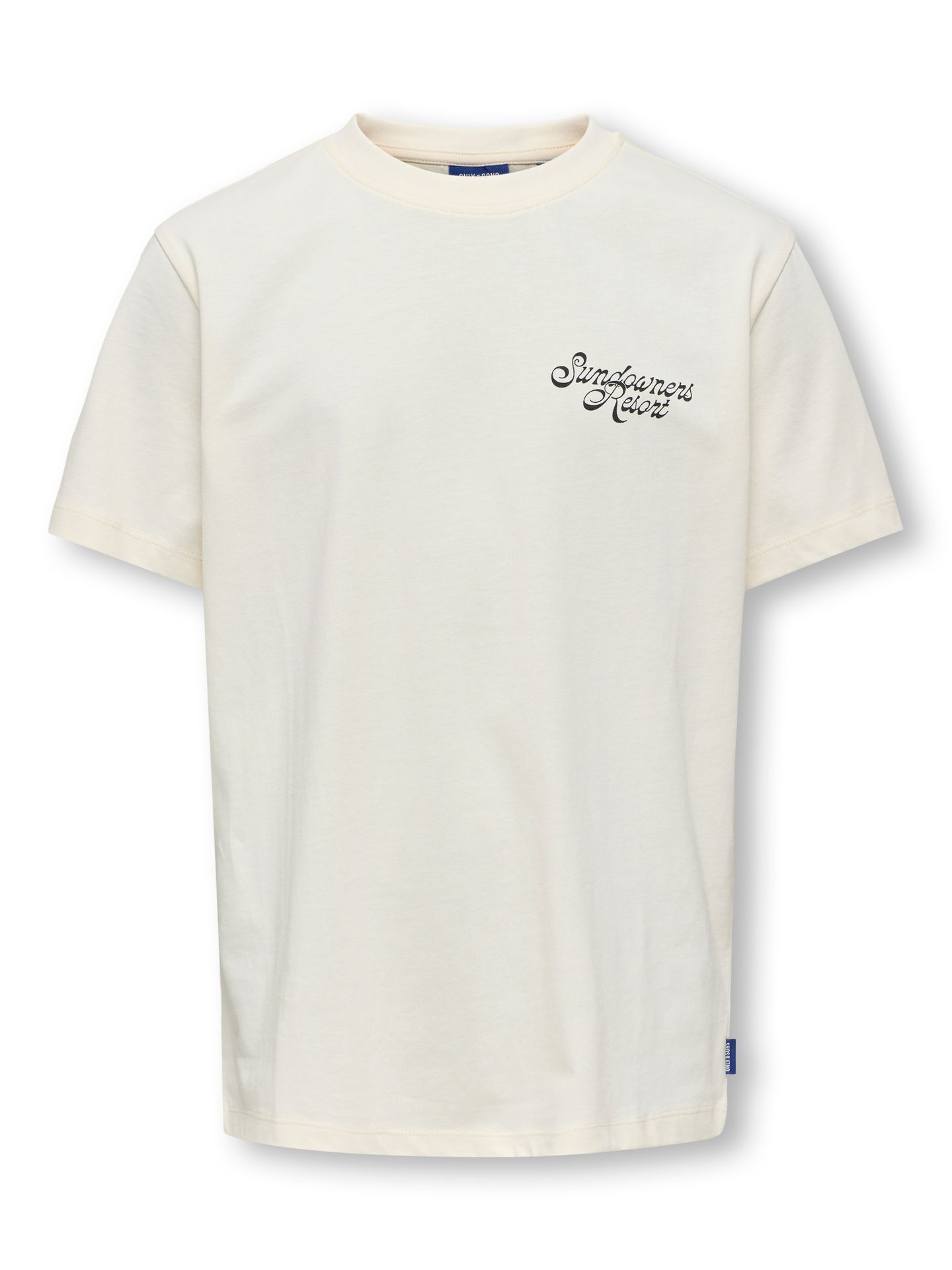 Only & Sons OSJJUNO LIFE REG SS TEE JRS Tofu/Print Vibe 2900157455044