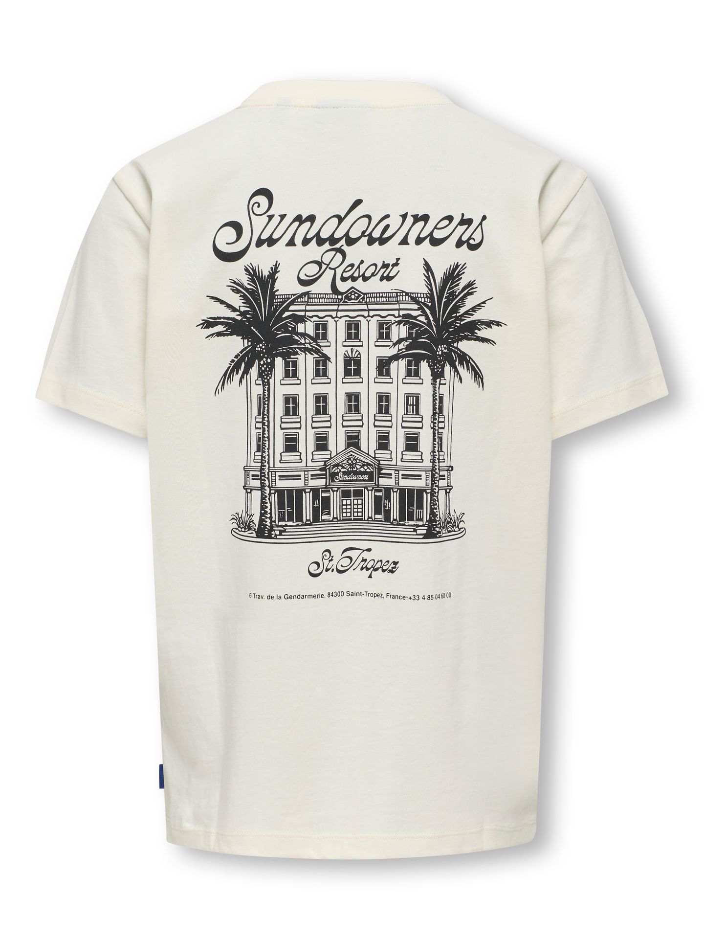 Only & Sons OSJJUNO LIFE REG SS TEE JRS Tofu/Print Vibe 2900157455044