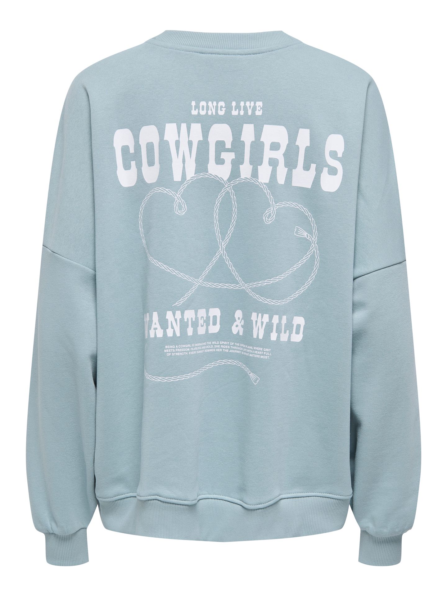 Only ONLSTINA L/S LOVELY O-NECK BOX SWT Arona/Cowgirls 2900157620015