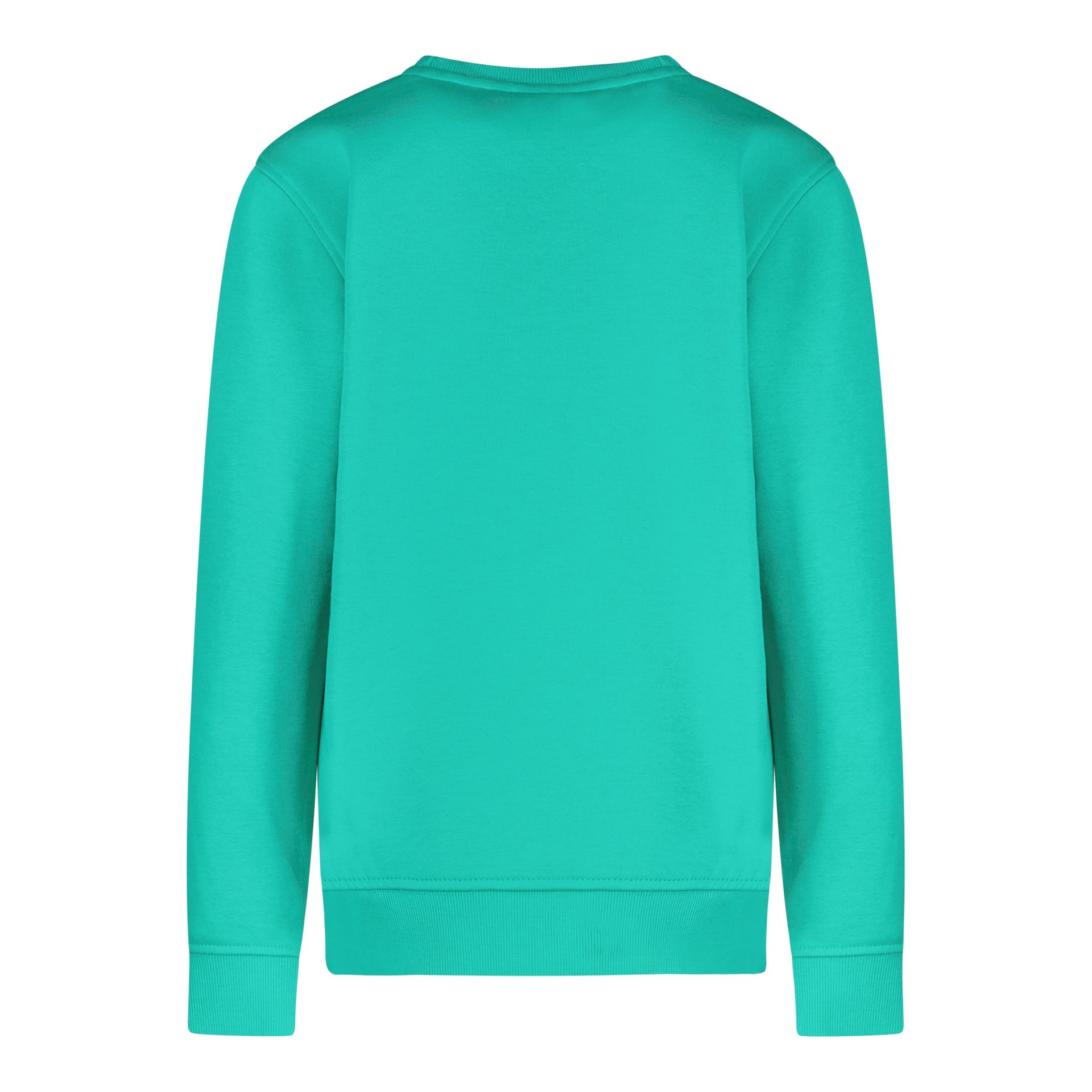 Cars jeans Kids BYTO SW 55 green 2900158378076