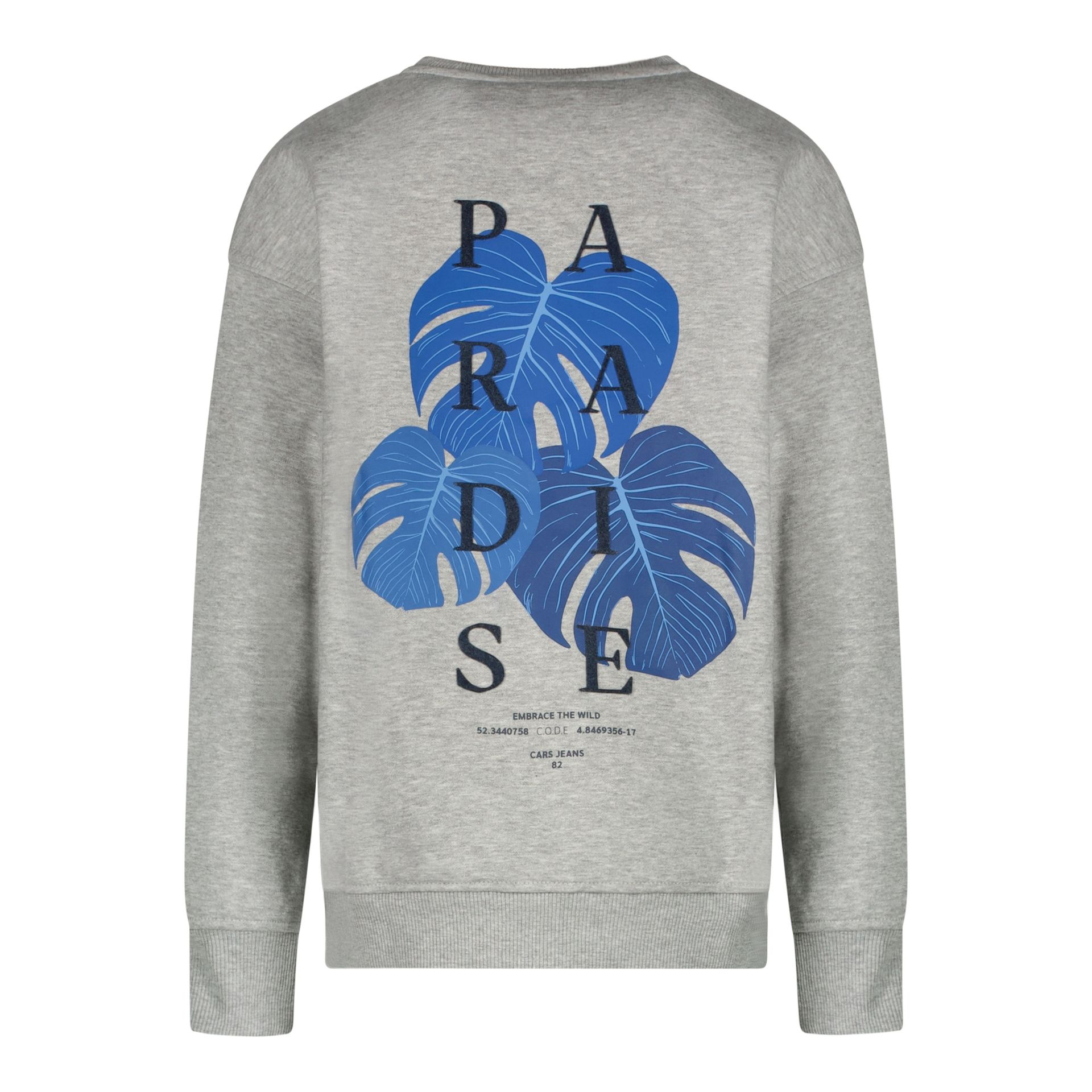 Cars jeans Kids DISO SW  53 grey melee 2900158380079