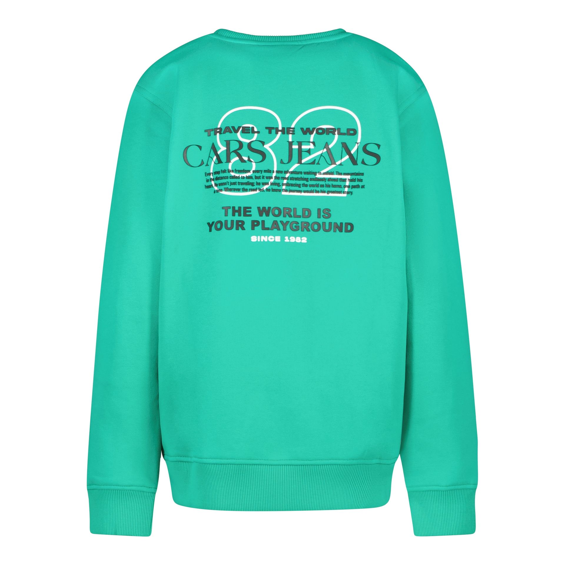 Cars jeans Kids TARAY SW 55 green 2900158387078