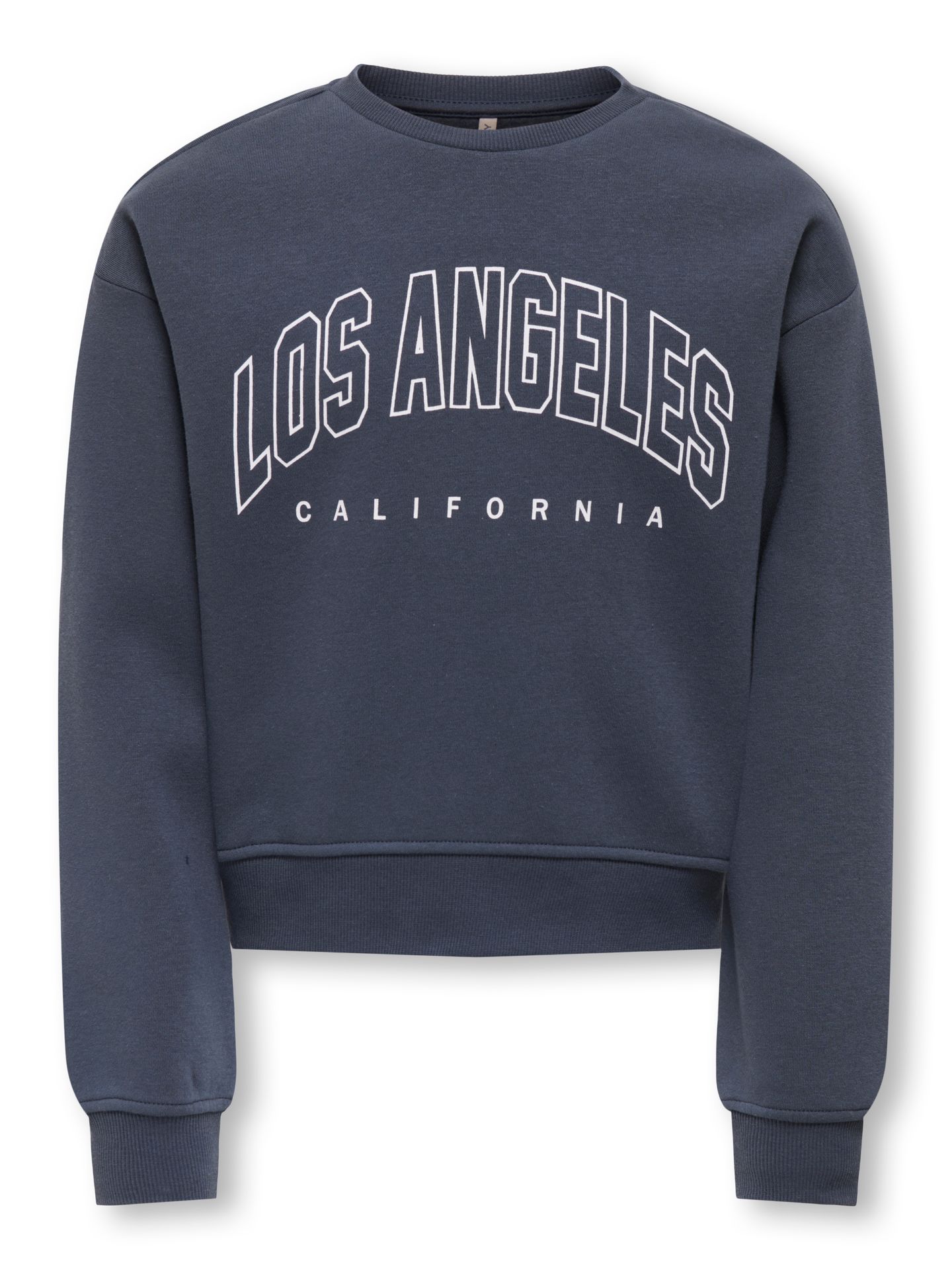 Only KOGSWEAT LS CREW OVZ STAT SWT NOOS Ombre Blue/CLAUDETTE GRAFIC 2900158392010