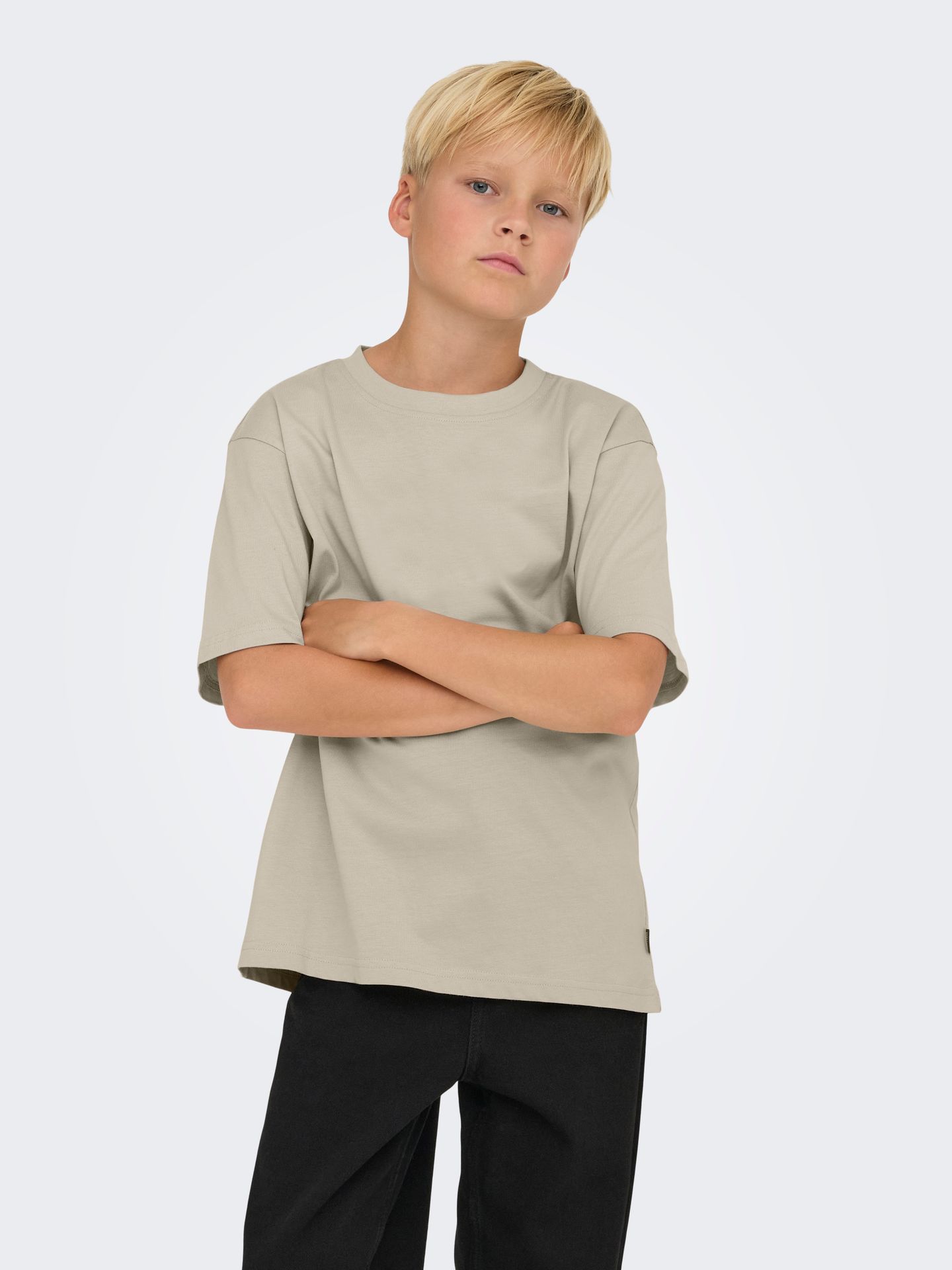 Only & Sons OSJFRED LIFE RLX SS TEE JRS NOOS Silver Lining 2900158677032