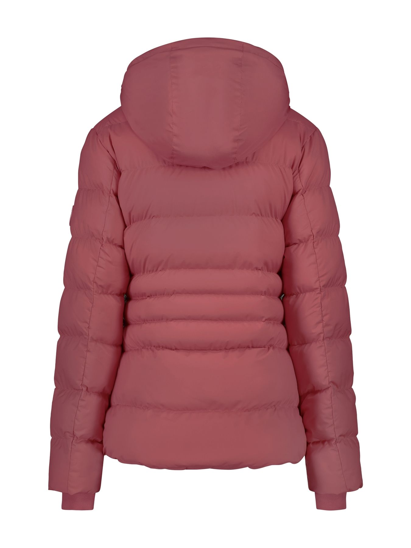 Cars jeans MOYNA  Polyester  58 burgundy 2900158898062 Cars jeans MOYNA  Polyester  58 burgundy 2900158898062