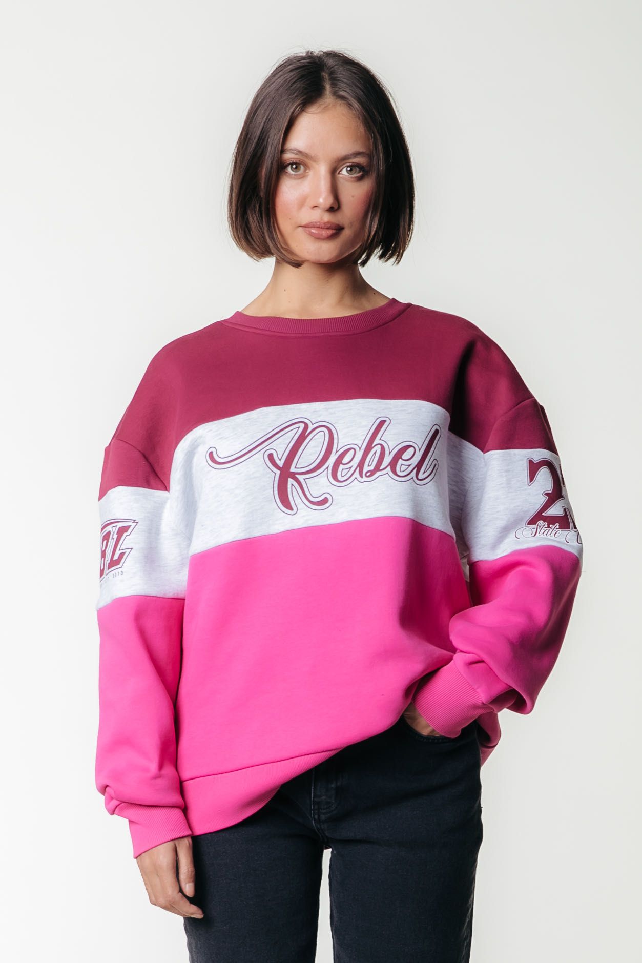 Colourful Rebel Logo Colourblock Boxy Sweat 102 multicolor 00114737-EKA26011600000003