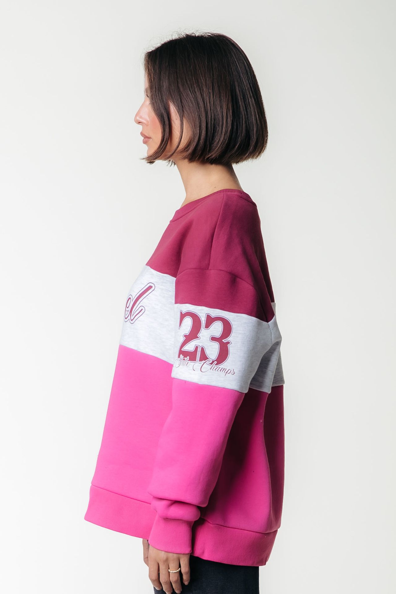 Colourful Rebel Logo Colourblock Boxy Sweat 102 multicolor 2900159426035