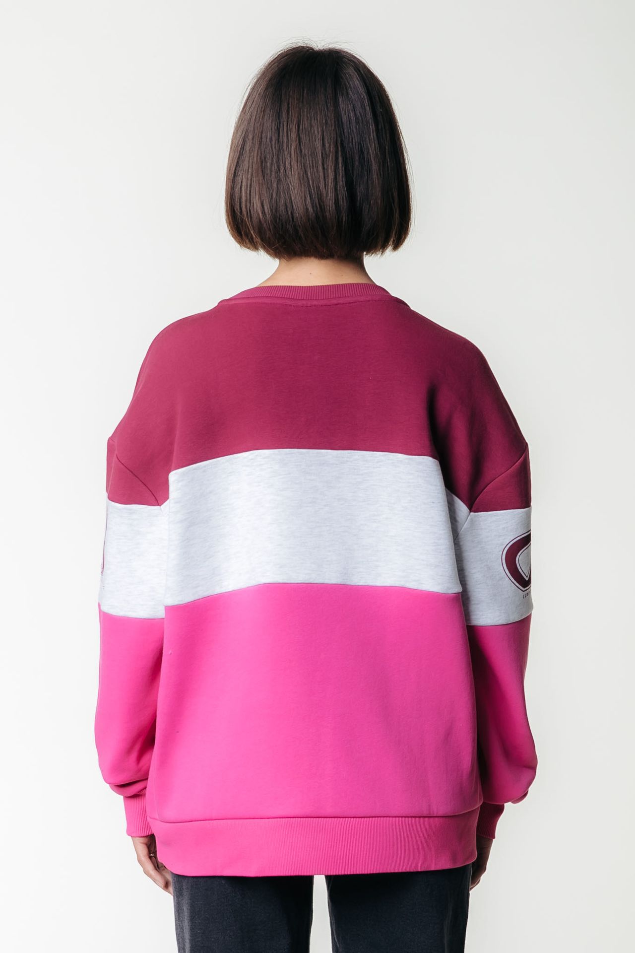 Colourful Rebel Logo Colourblock Boxy Sweat 102 multicolor 2900159426035