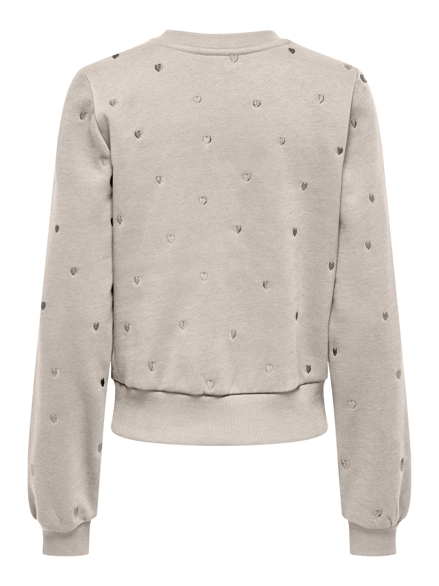 Only ONLATIKA L/S O-NECK GLITTER EMB. BO Pumice Stone/LEONORA 2900159888031