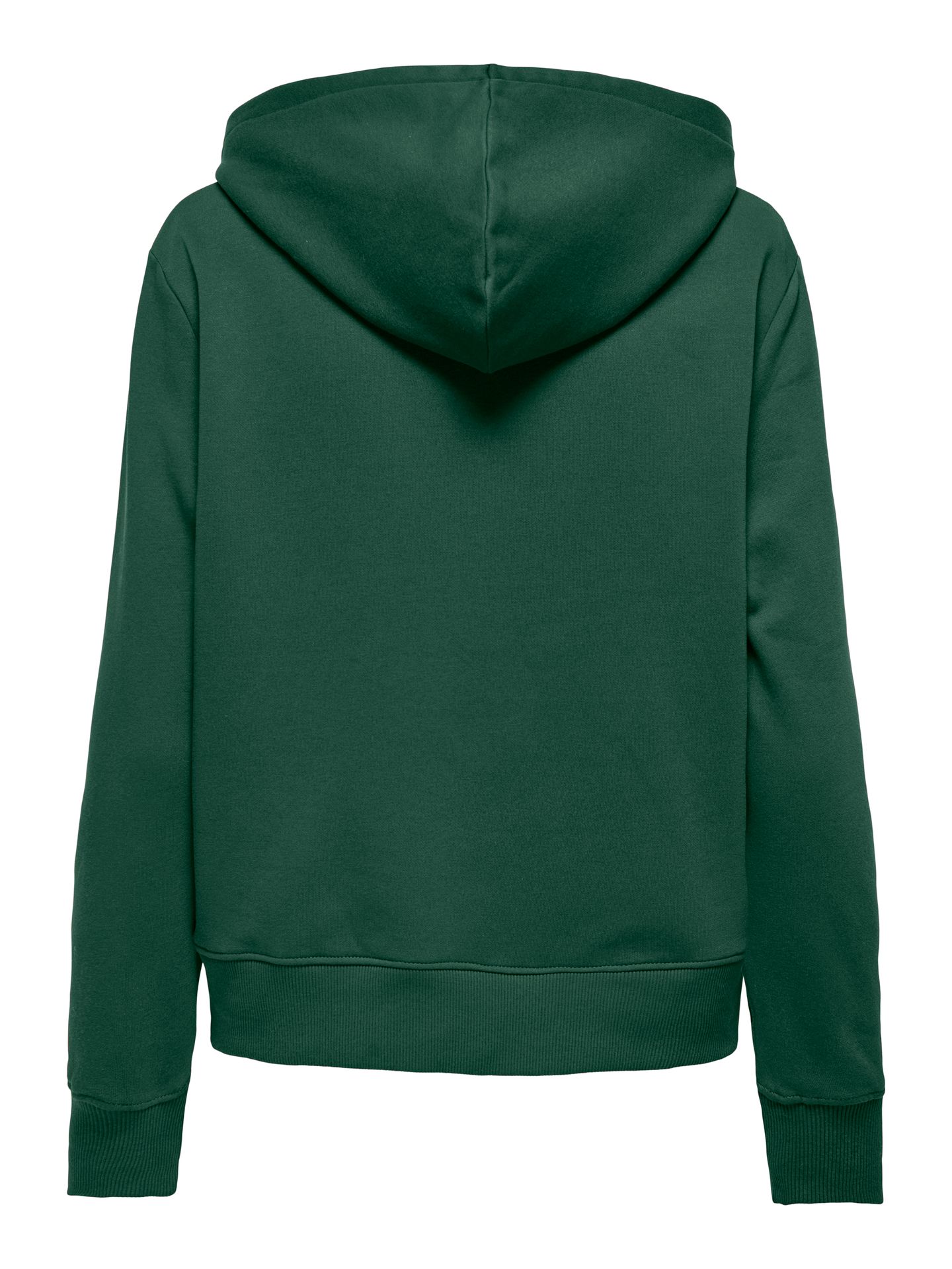 Only KOGLYNA L/S DETAIL HOOD CS SWT Pineneedle/White Panel/Black Stars 00115032-EKA26011400003028