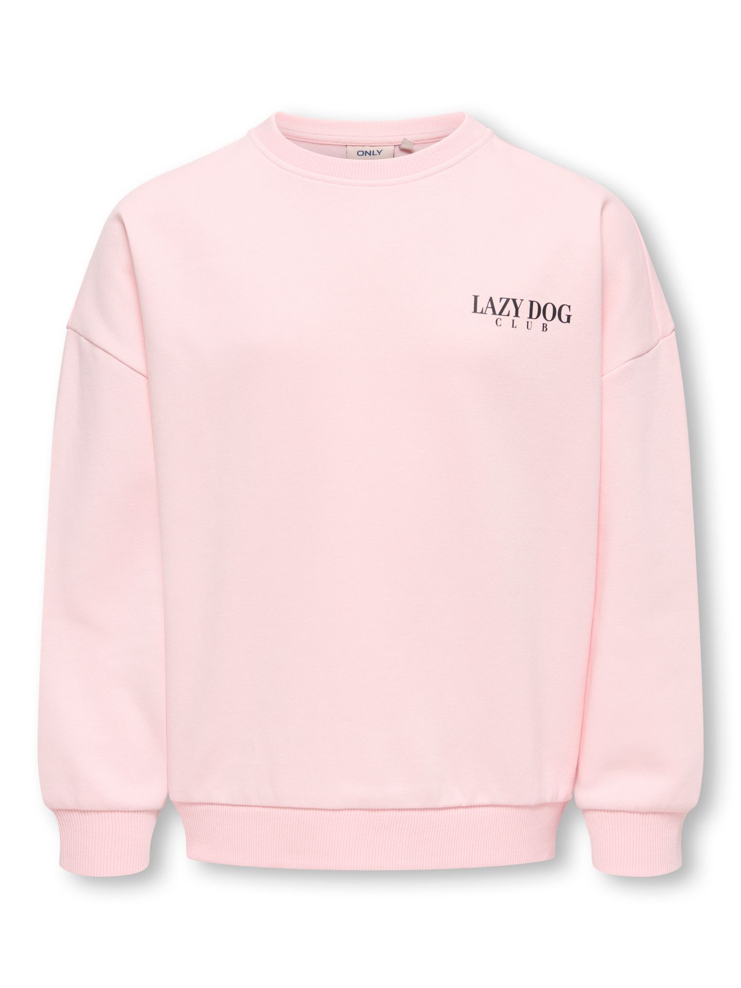 Only KOGBILA L/S OVZ PRINT O-NECK SWT NO Chalk Pink/CABERNET EMB. 2900168743024