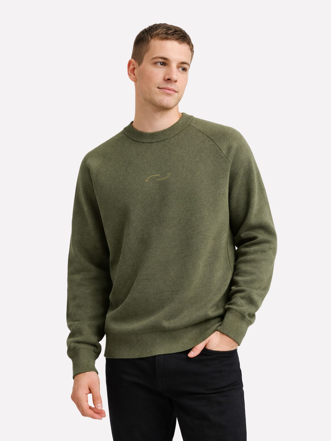 Jack & Jones JCOFUSION KNIT CREW NECK Grape Leaf 00115324-EKA26011400001908