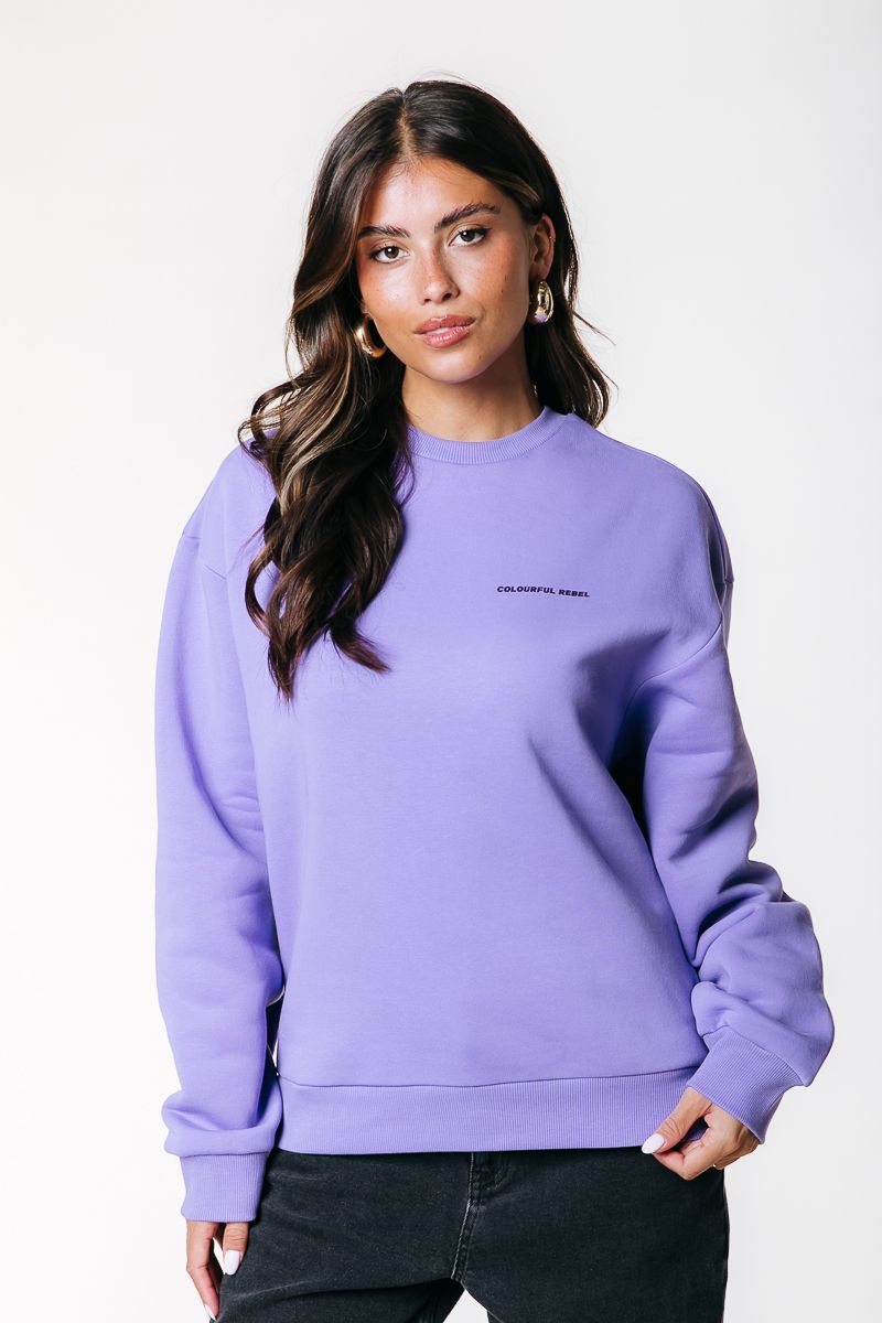 Colourful Rebel CR Big Logo Dropped Shoulder Sweat 627 soft purple 2900161891067