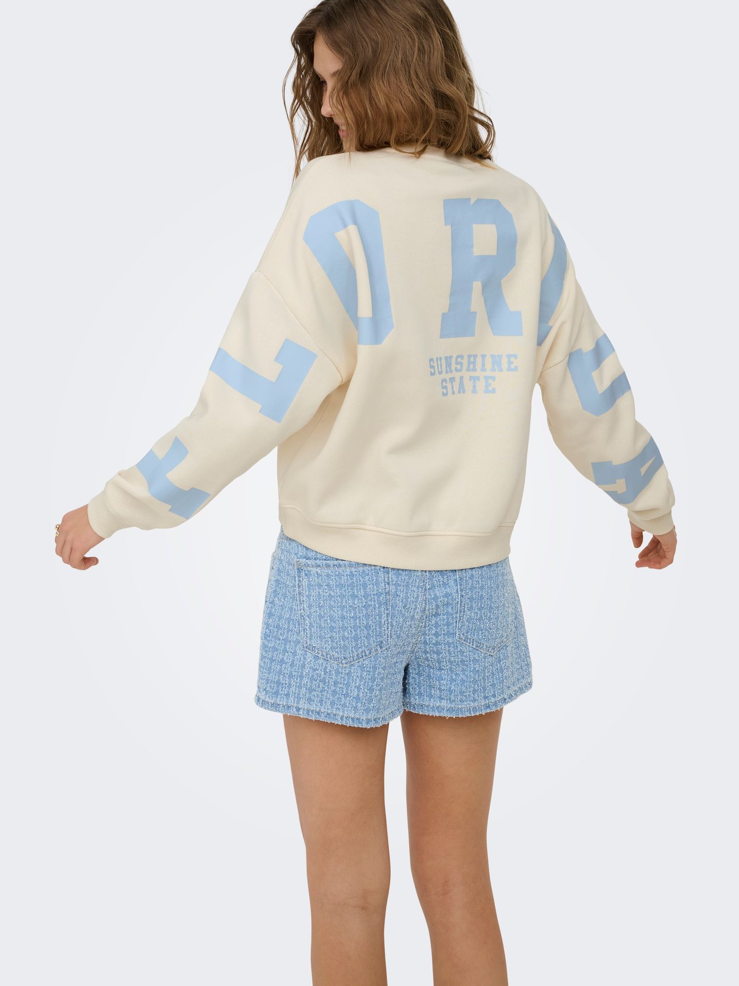 Only ONLSWEAT L/S BACK/SLEEVE PRINT SWT Birch/W. Melange 2900162793018