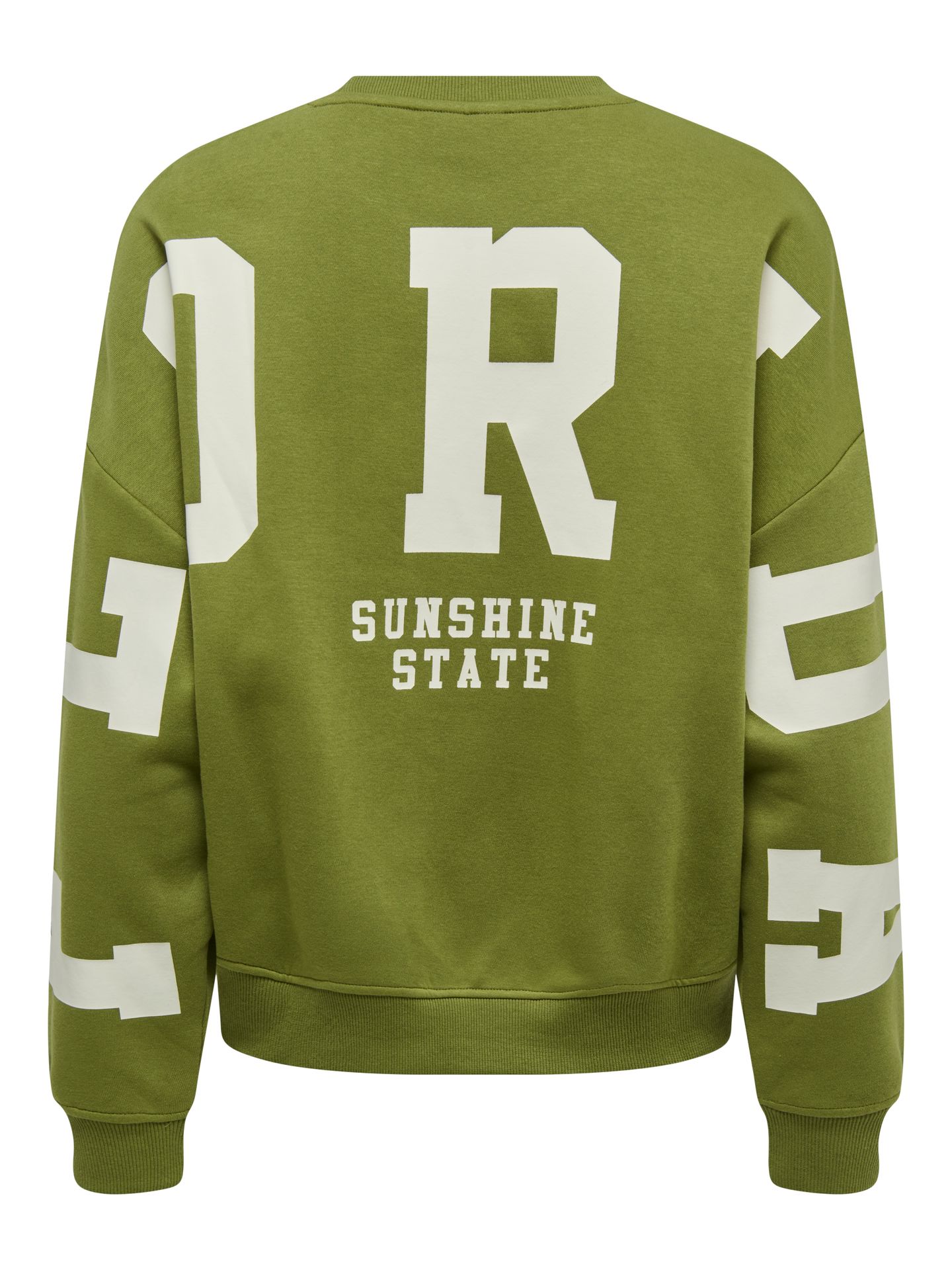 Only ONLSWEAT L/S BACK/SLEEVE PRINT SWT Peat Moss/BIRCH FLORIDA PRINT 00116084-EKA26011400003696