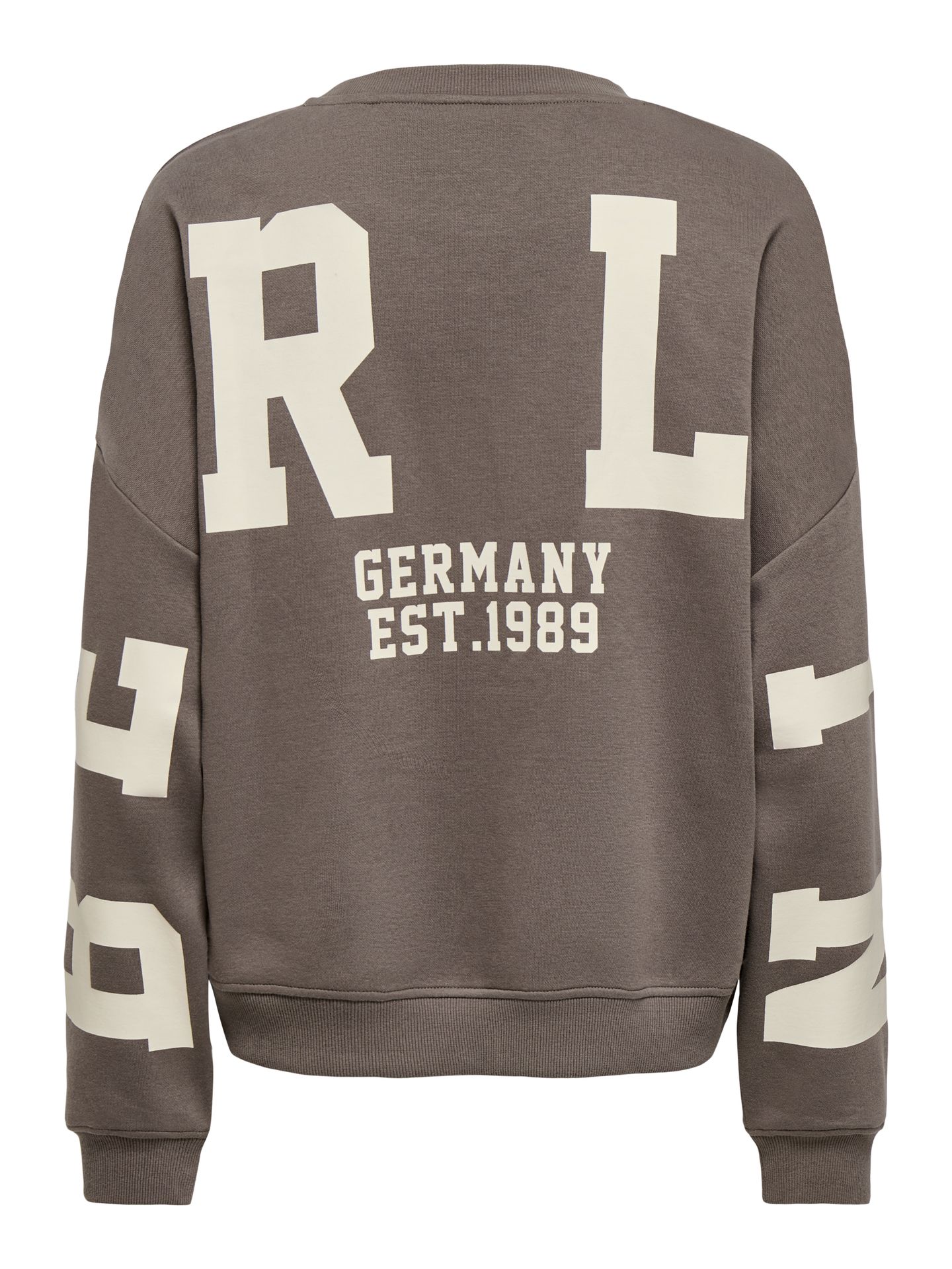 Only ONLSWEAT L/S BACK/SLEEVE PRINT SWT Falcon/CREAM BERLIN PRINT 2900168873059