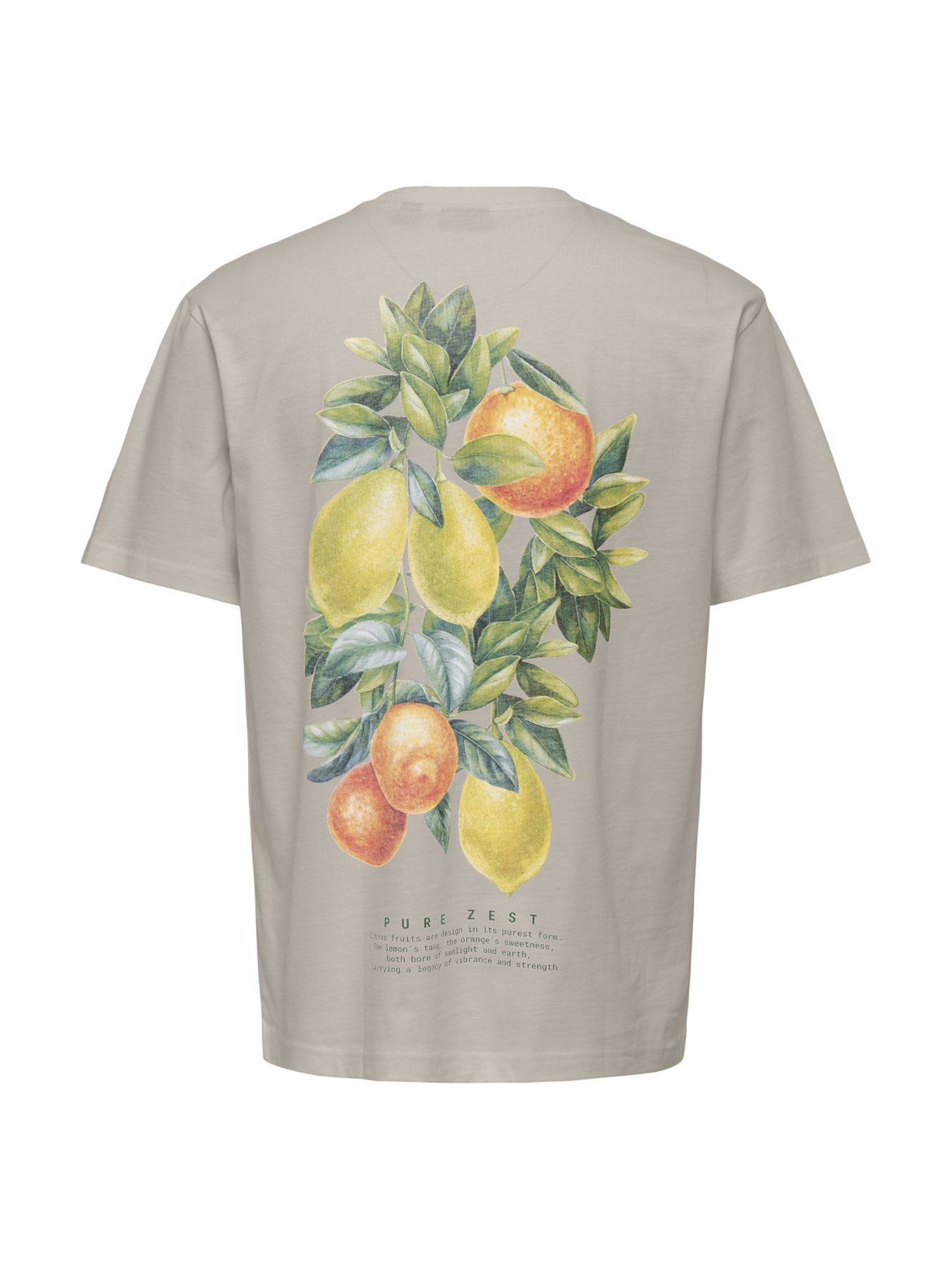 Only & Sons ONSFRED LIFE RLX SS PRINT TEE NOOS Silver Lining/WAVES 2900162768054