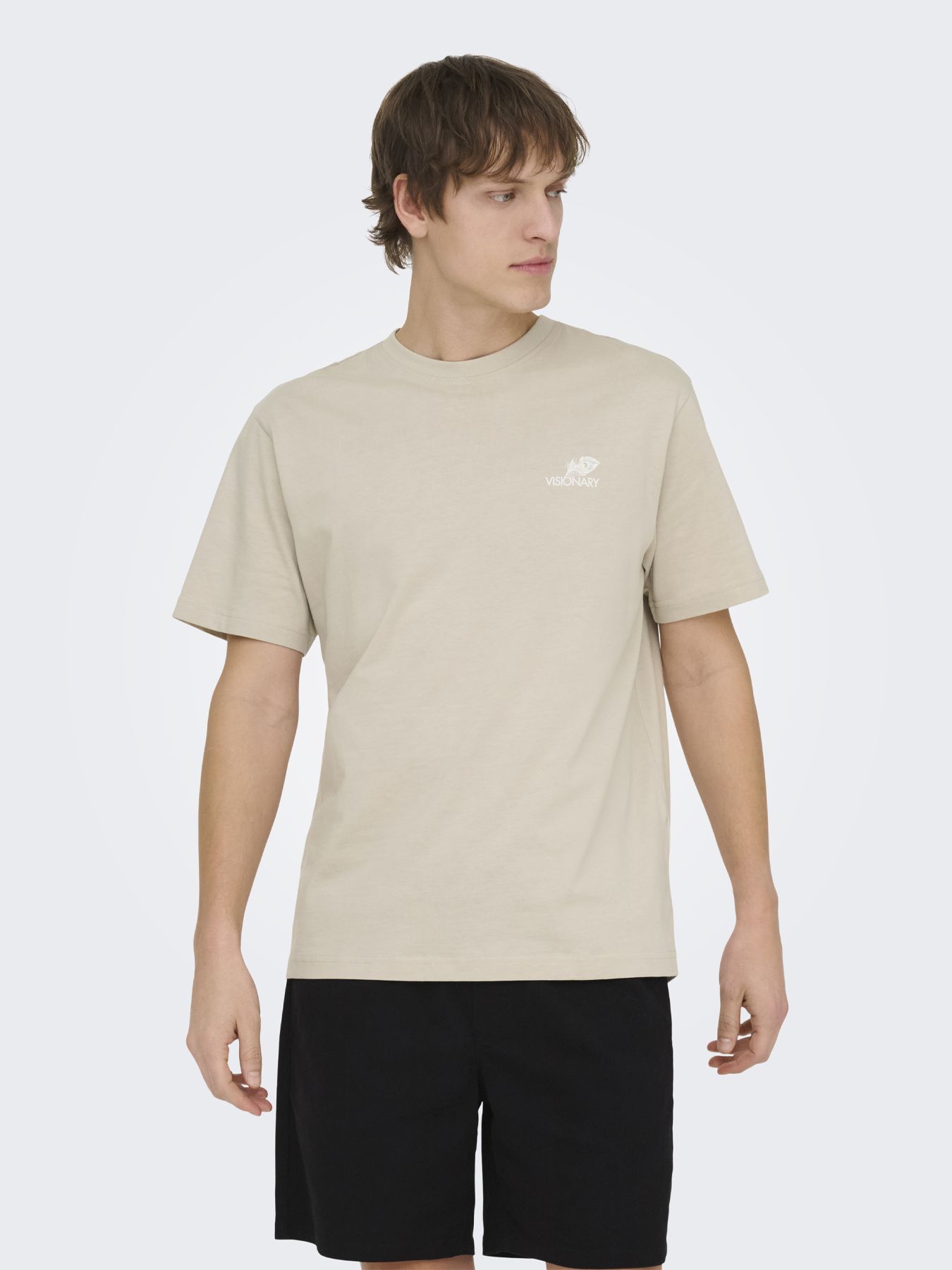 Only & Sons ONSFRED LIFE RLX SS PRINT TEE NOOS Silver Lining/VISIONARY 00116499-EKA26011400003254